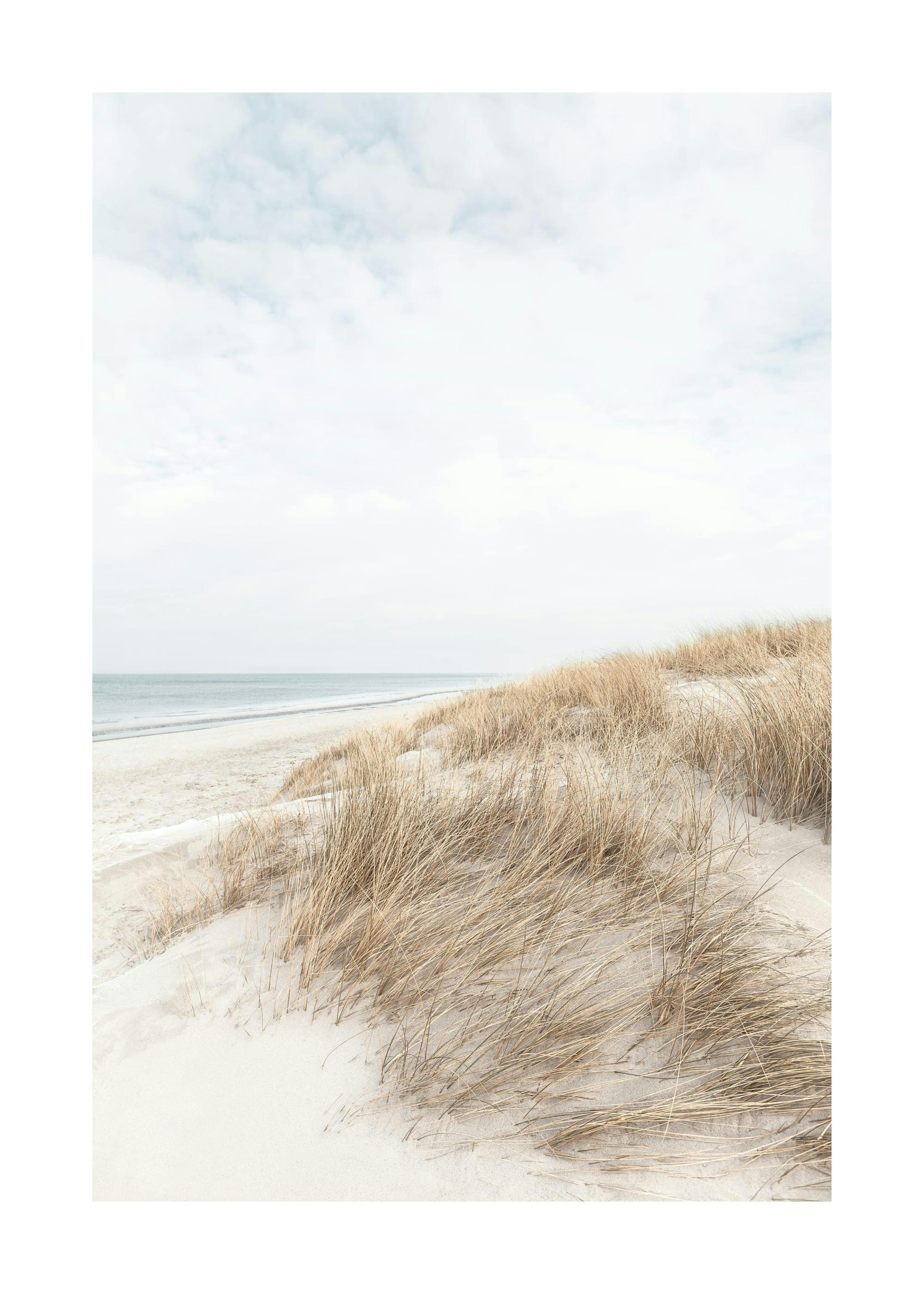 Cape Cod Dunes Plakat 0