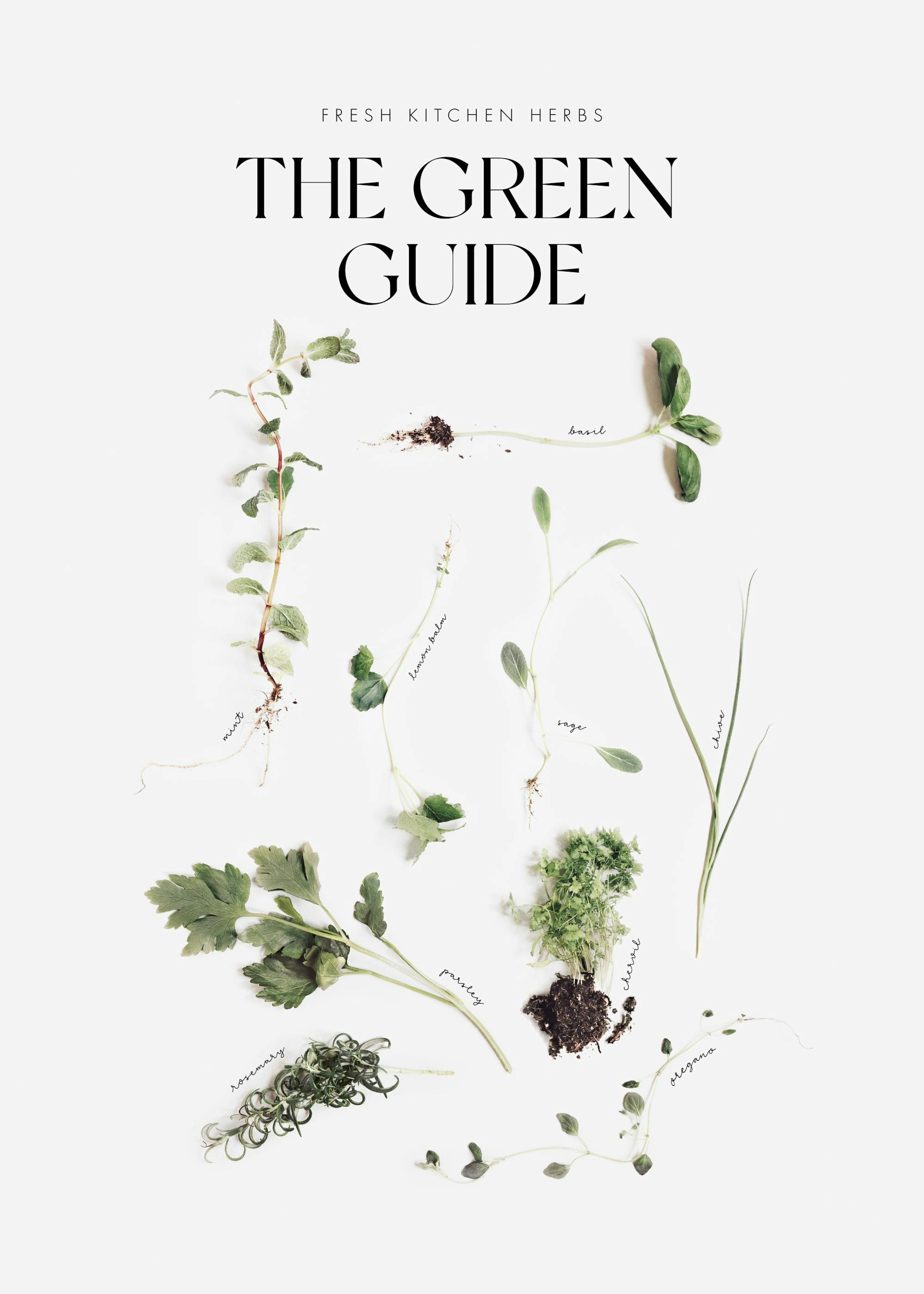 The Green Guide Print 0