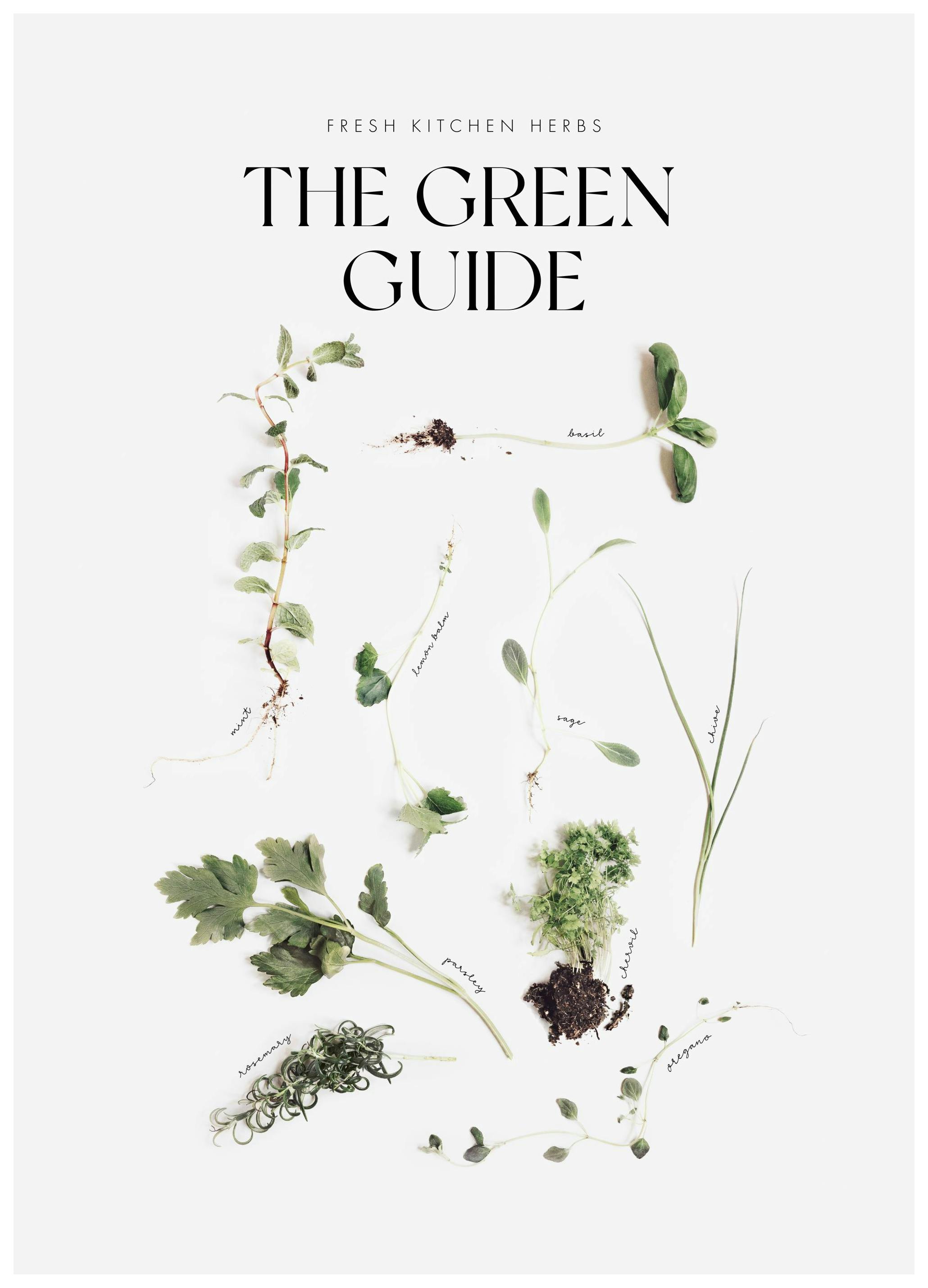 The Green Guide Plakat (30x40 cm)- Jedzenie