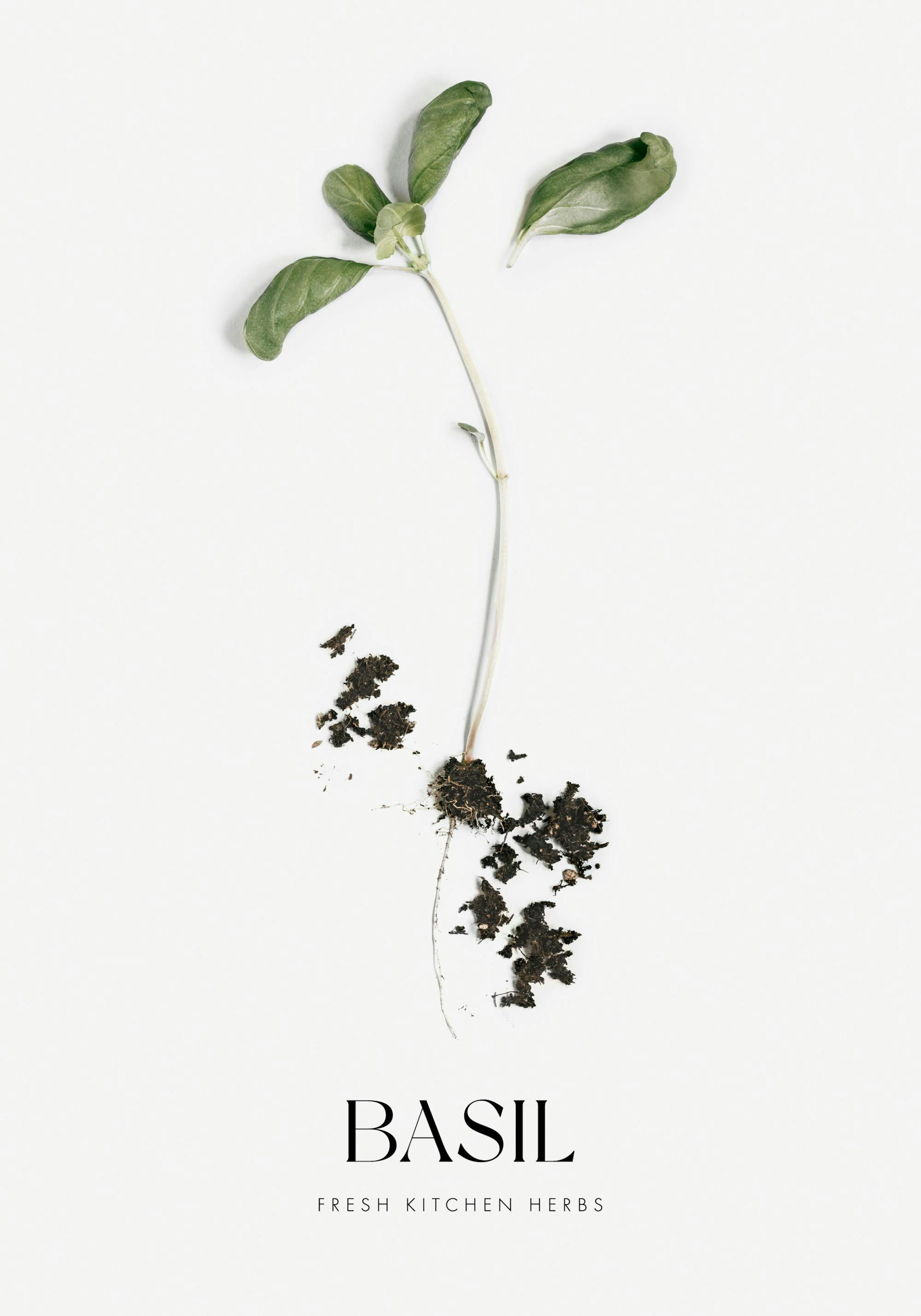 Product image: 1