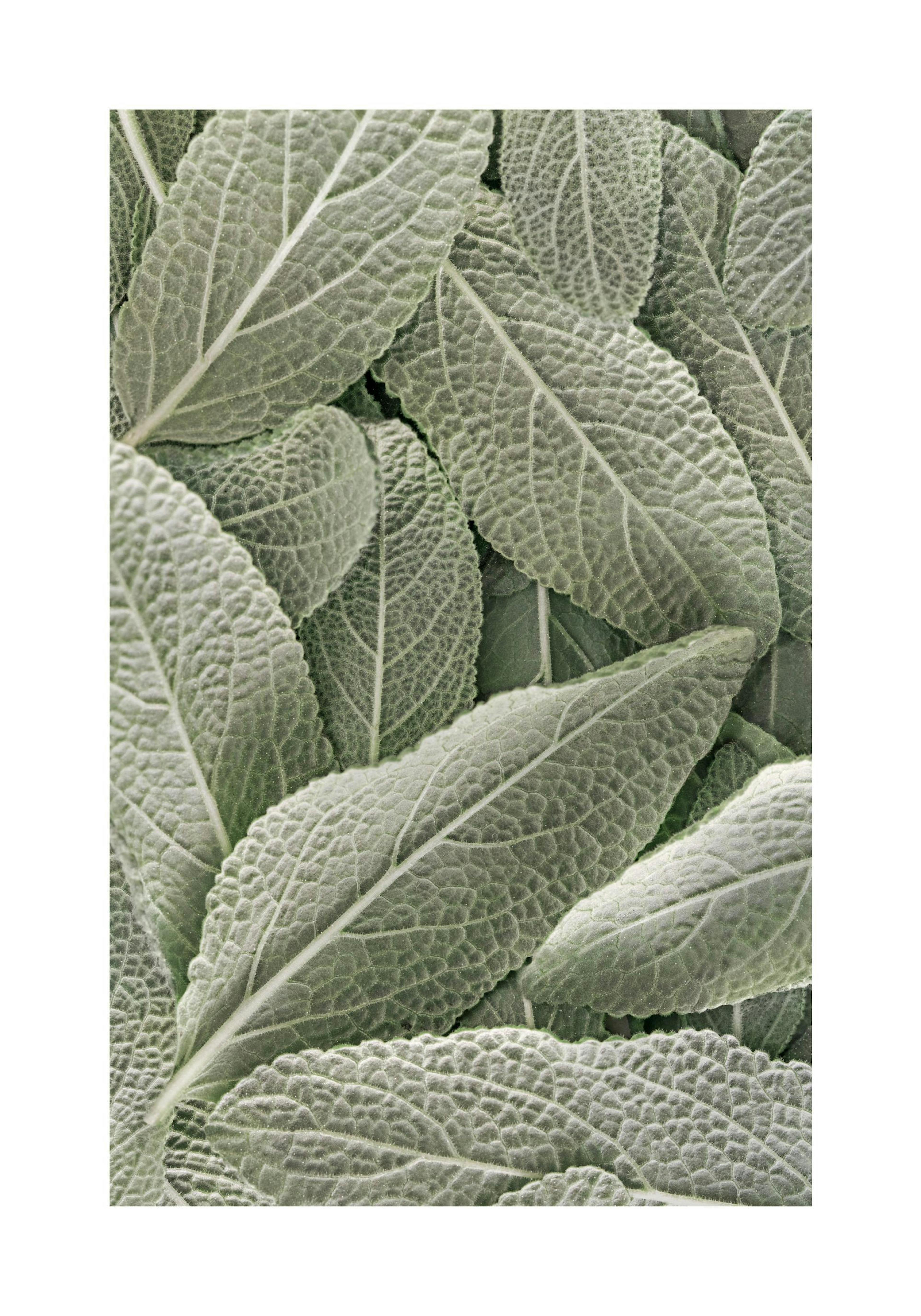 Product image: 1