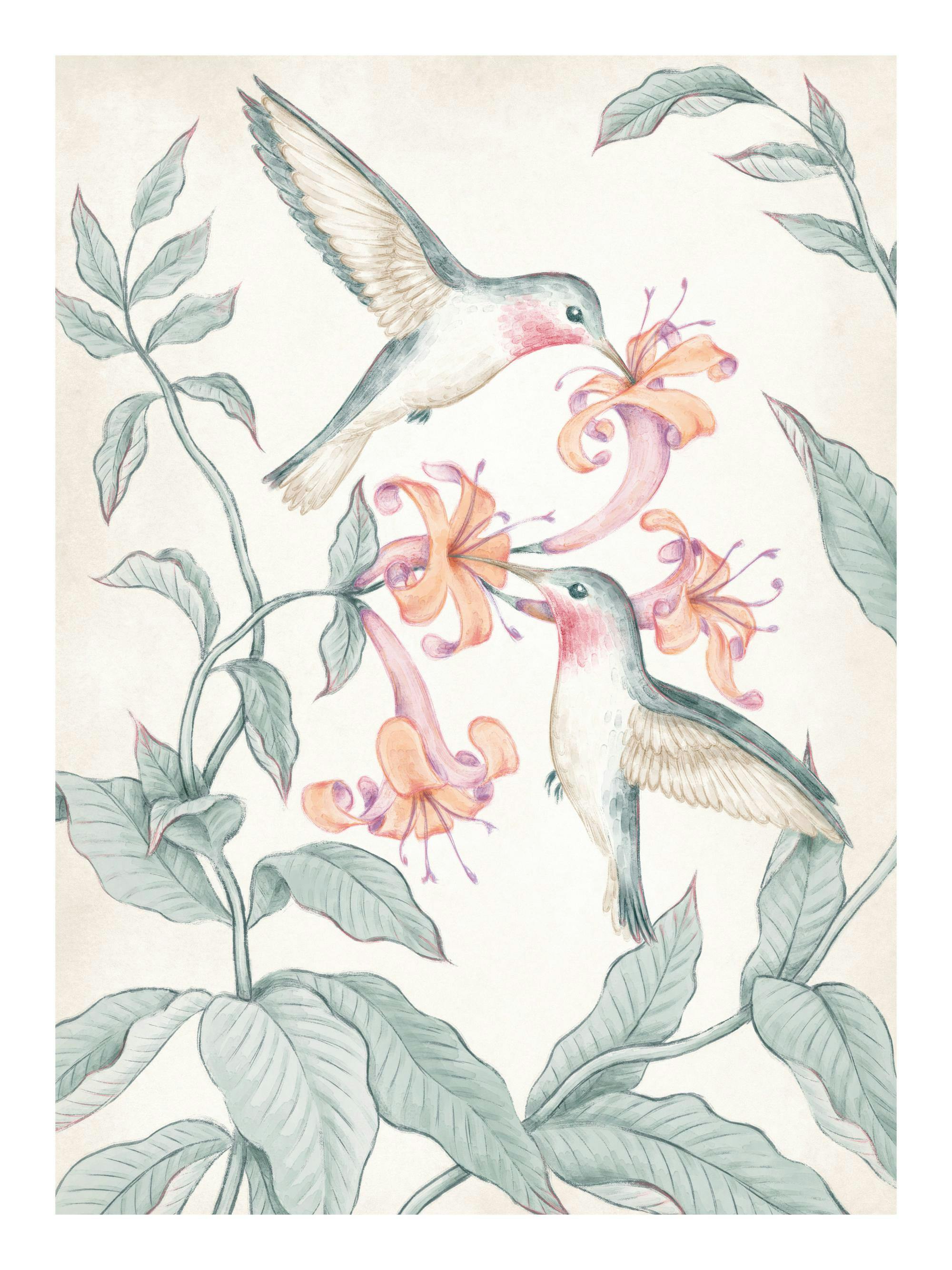 Akvarellposter med två kolibrier som flyger bland rosa och orangea blommor och gröna blad på en ljus bakgrund.