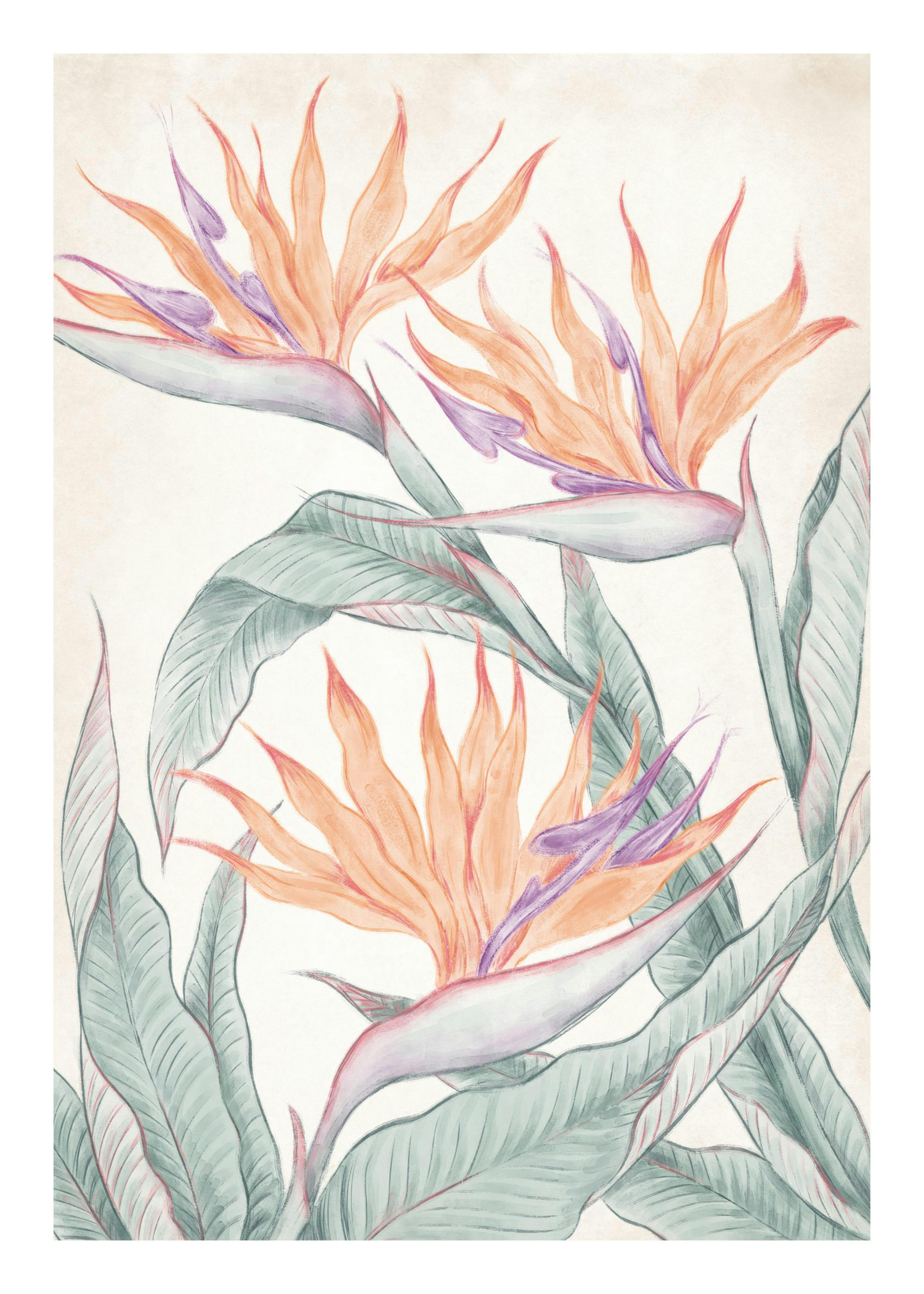 Birds of Paradise Painting Plakat 0