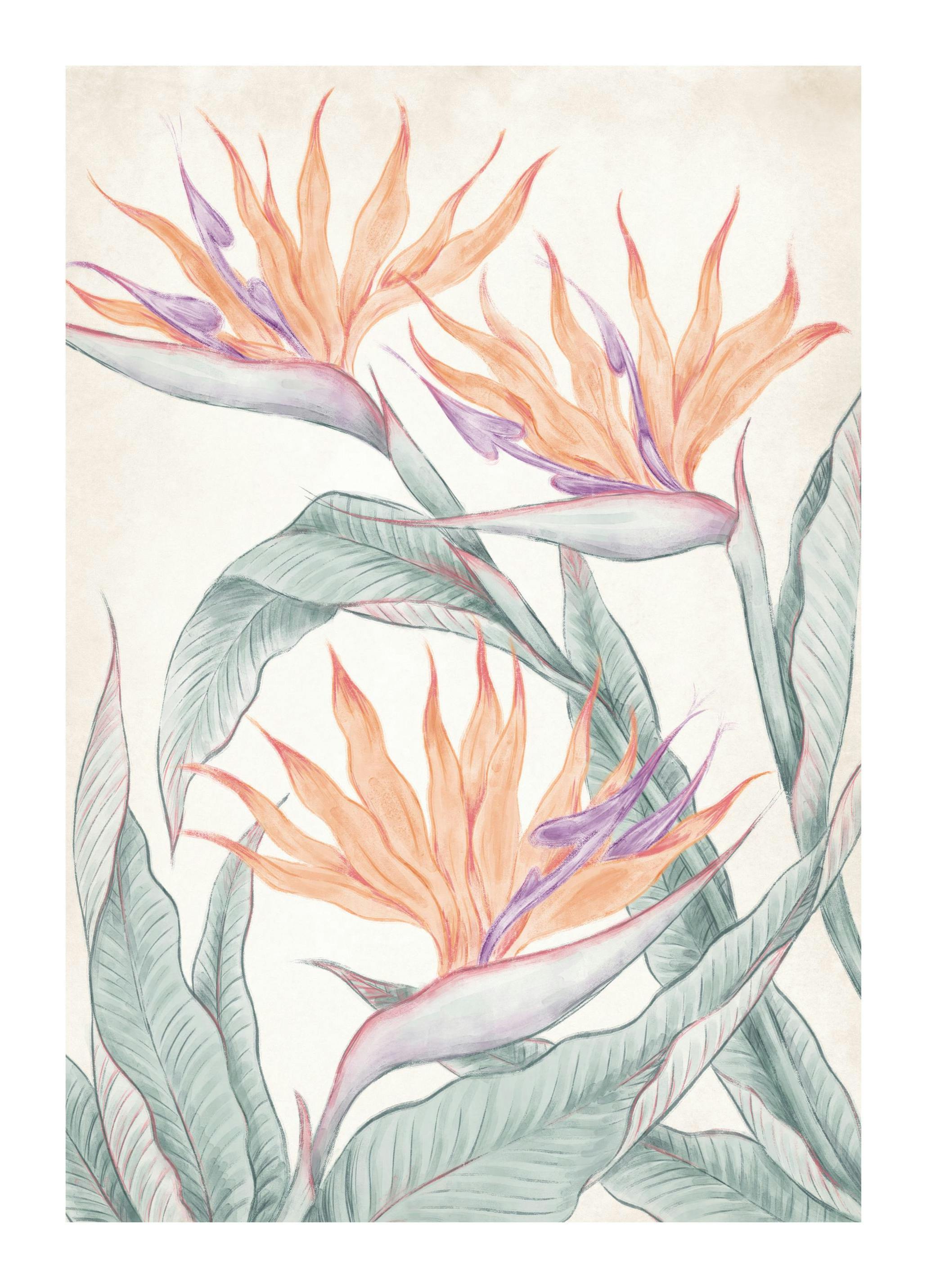 Birds of Paradise Painting Affiche (50x70 cm) - Affiches en aquarelle