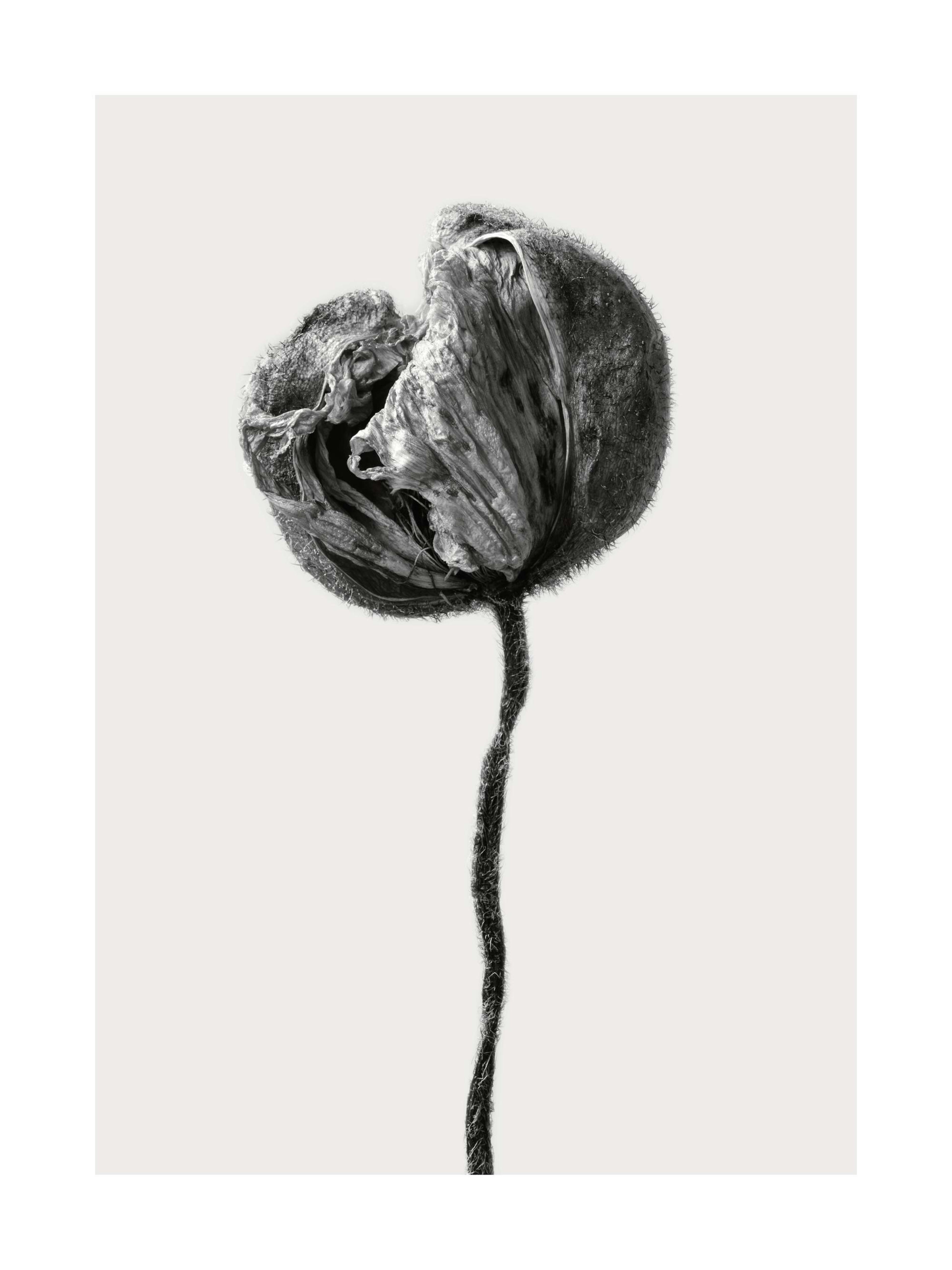 Product image: 1