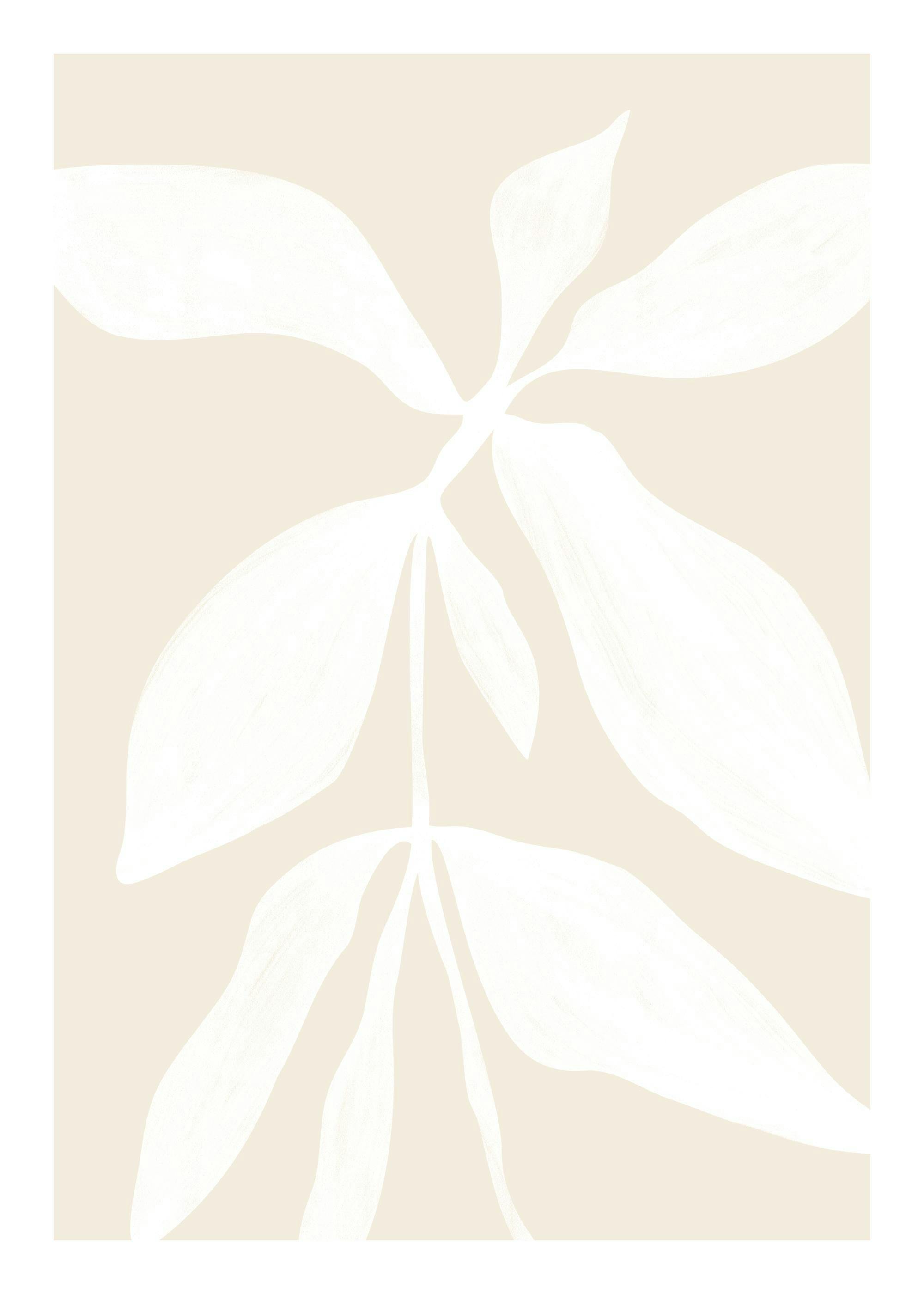 Witte botanische plantenillustratie op een beige achtergrond, kunstposter
