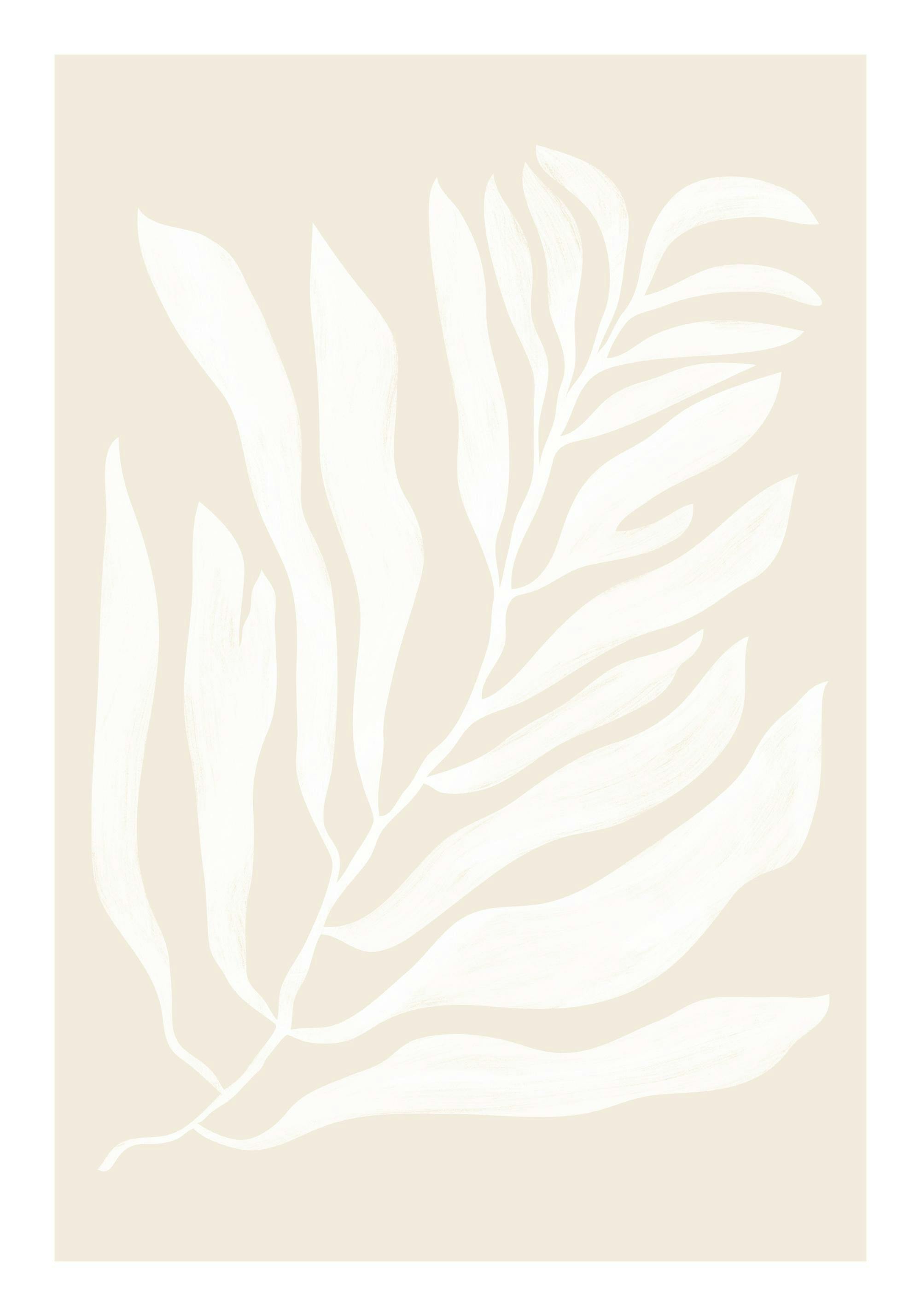 En vit botanisk illustration av en växt med blad på en beige bakgrund, konst poster.