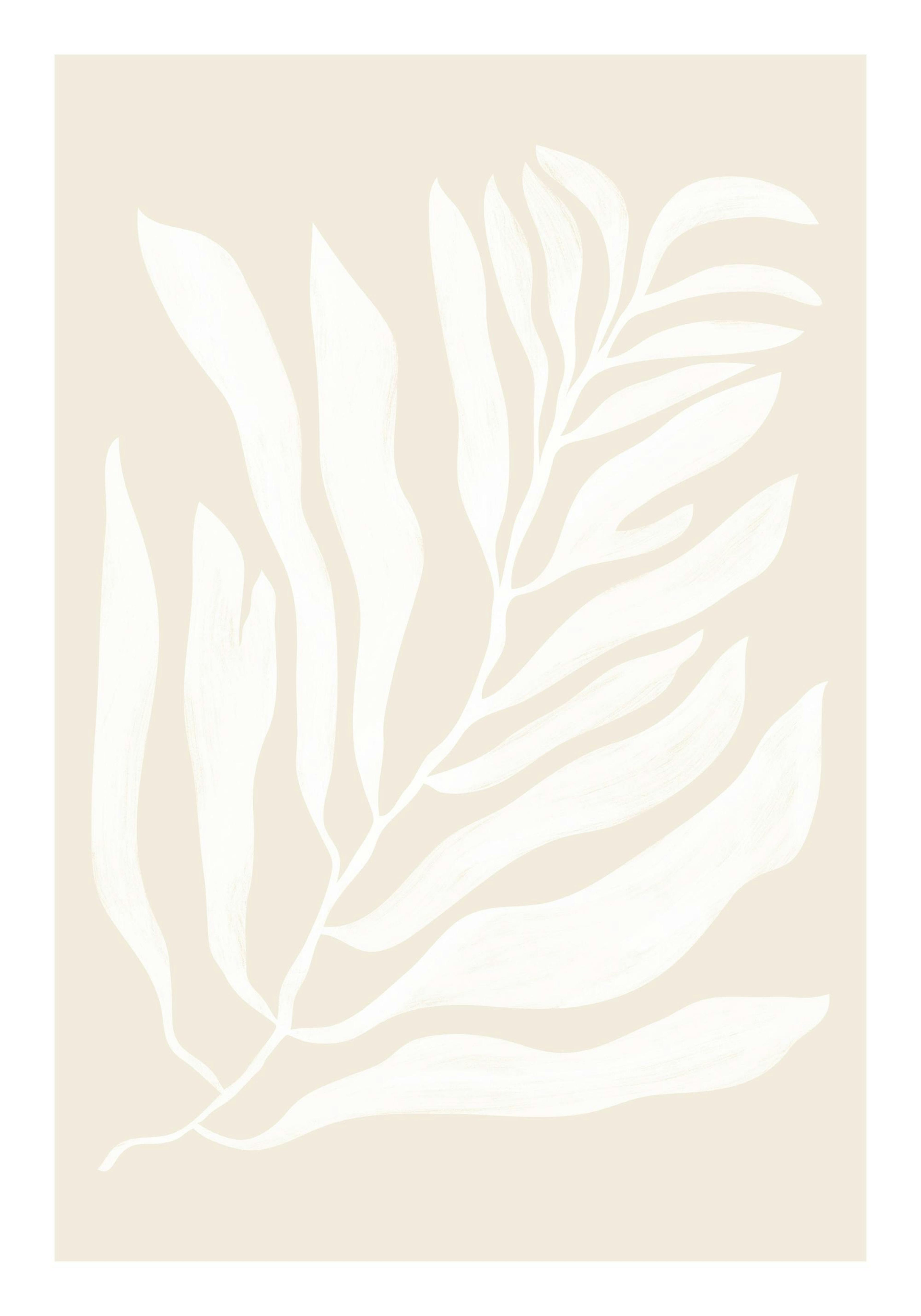 White Botanical No2 Plakat 0