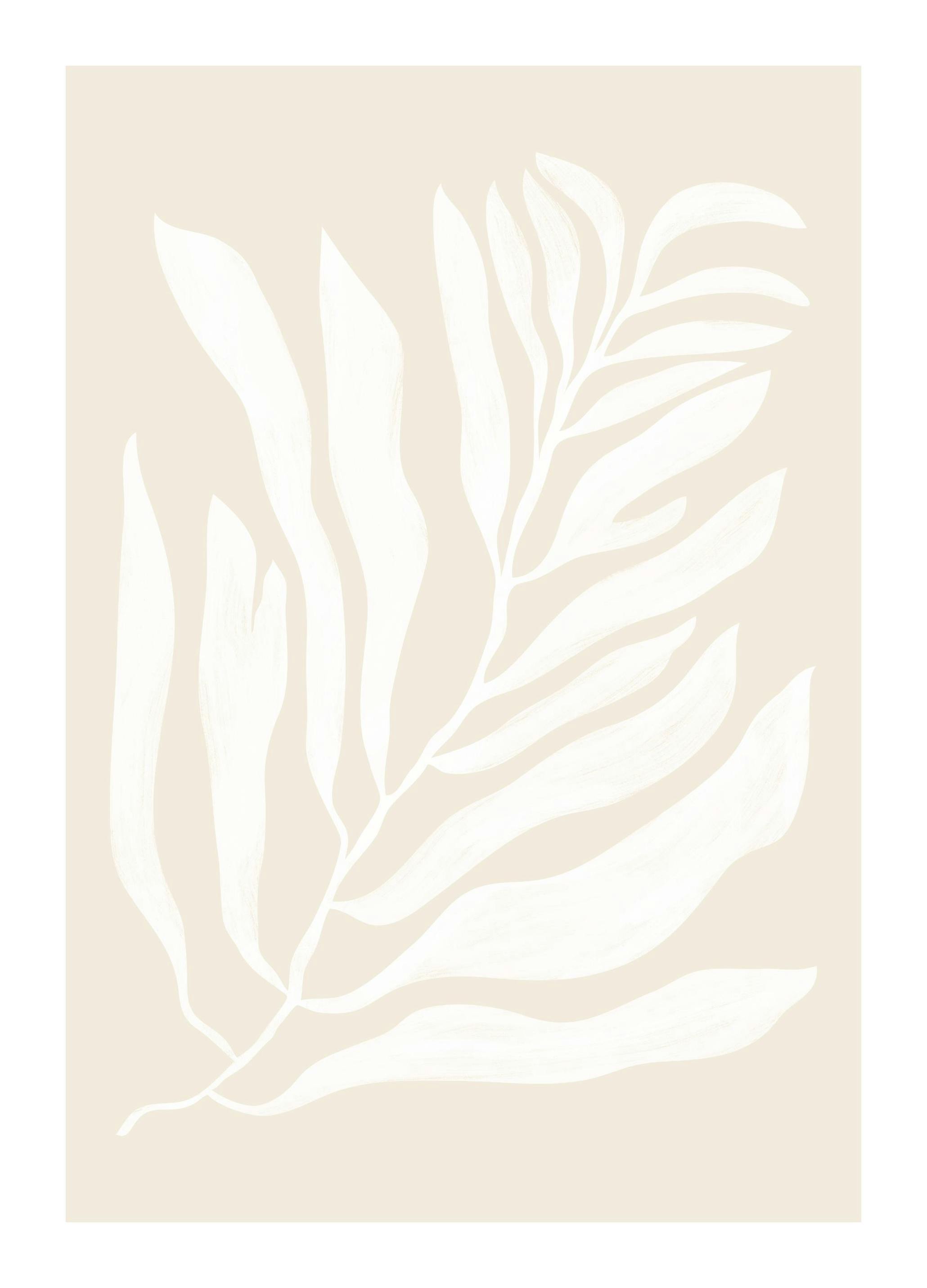 White Botanical No2 Plakat (40x50 cm) - Plakater > Botaniske plakater > Planteplakater