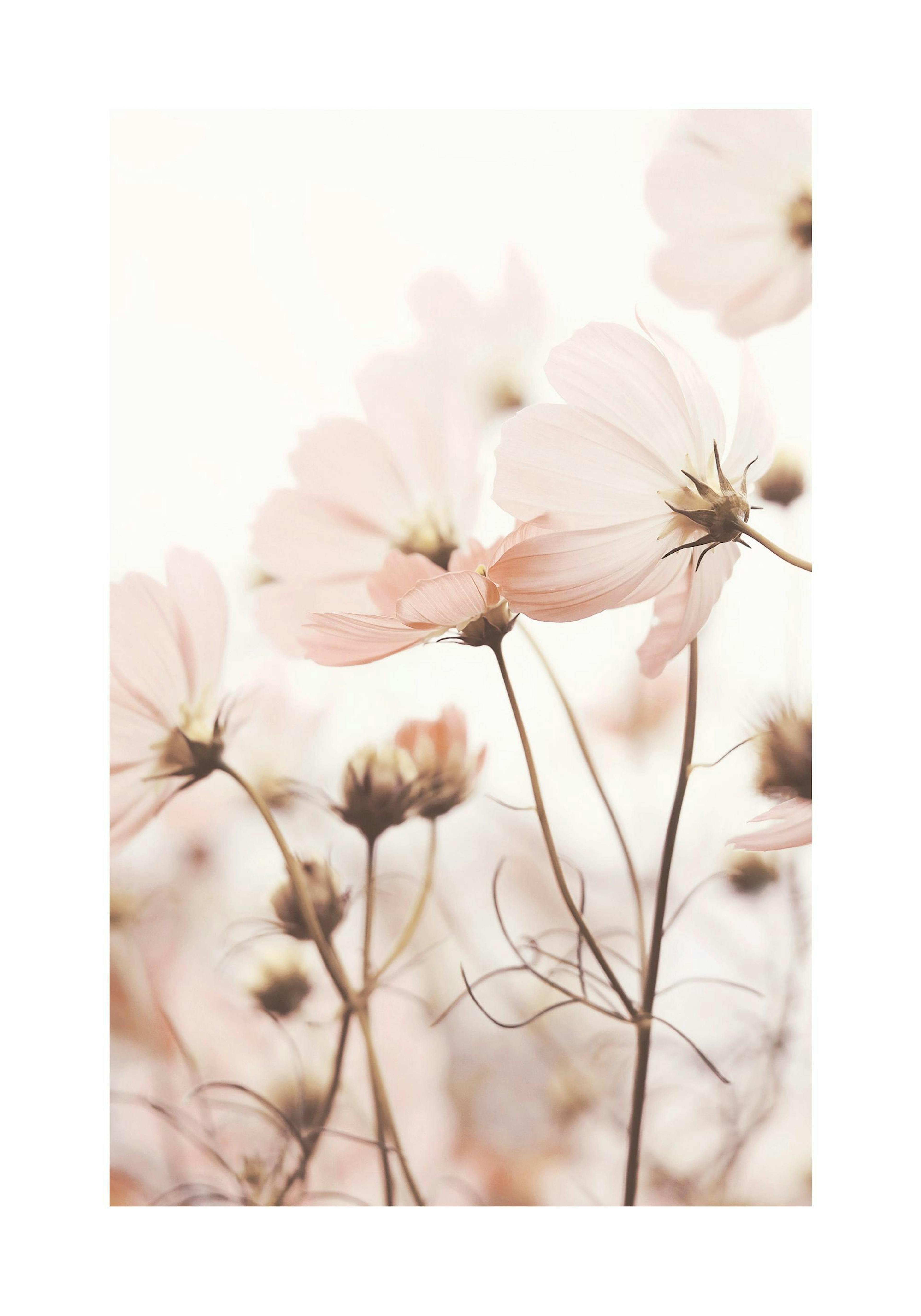 Product image: 1