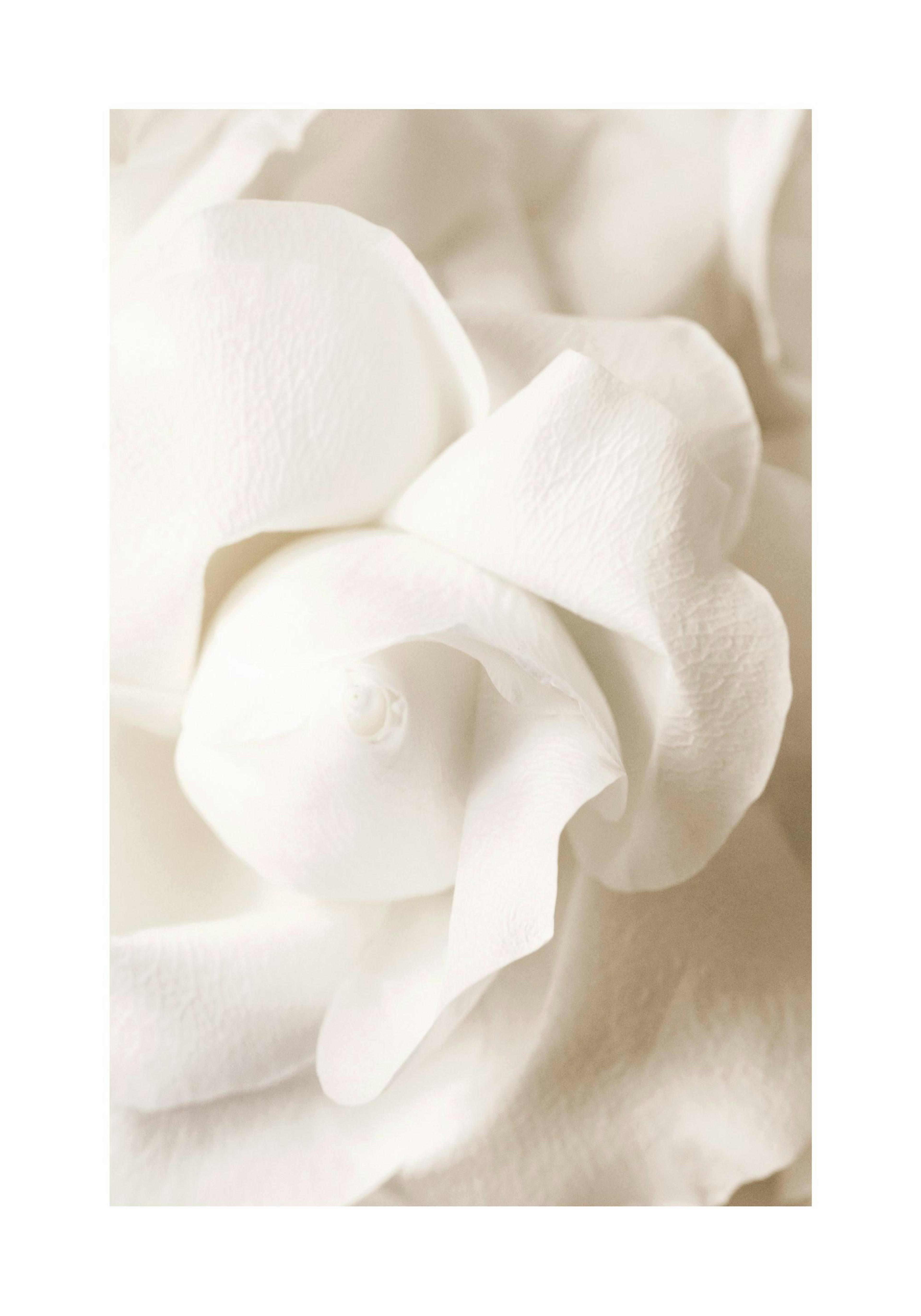 Product image: 1