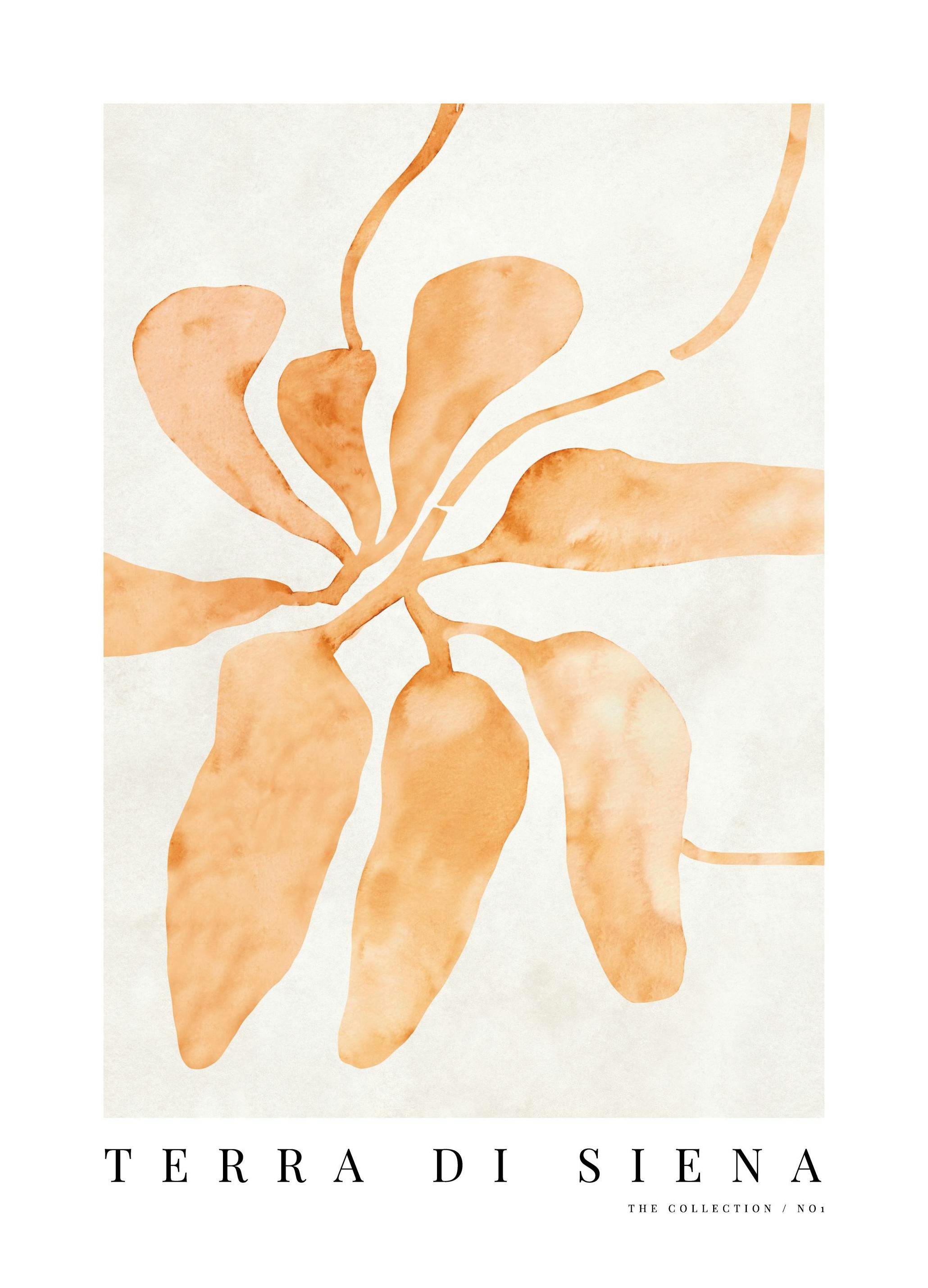 Terra di Siena No1 Plakat (50x70 cm)- Obrazy akwarelowe