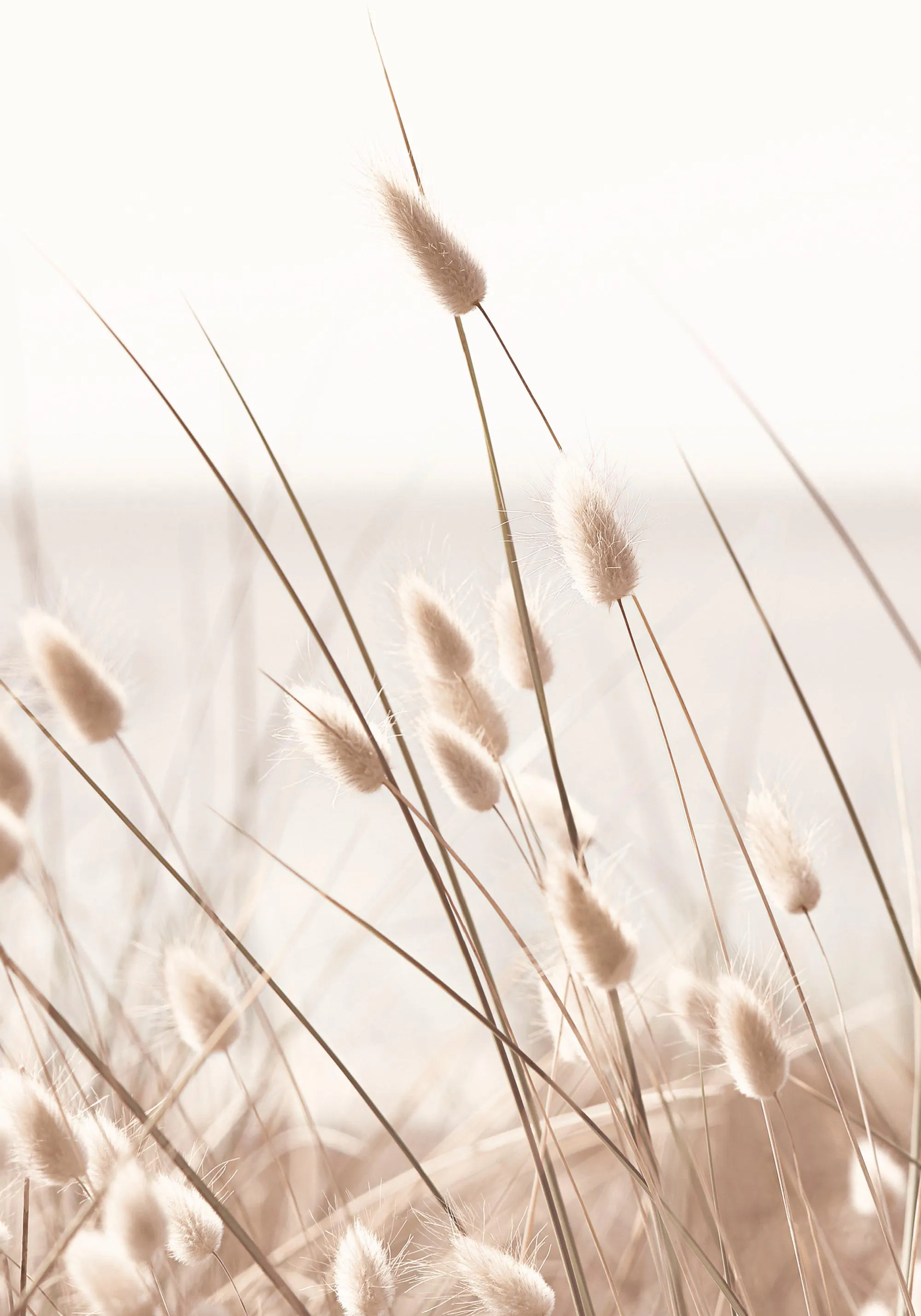 Beige Grass by the Sea Poster – Naturmotiv Wanddeko