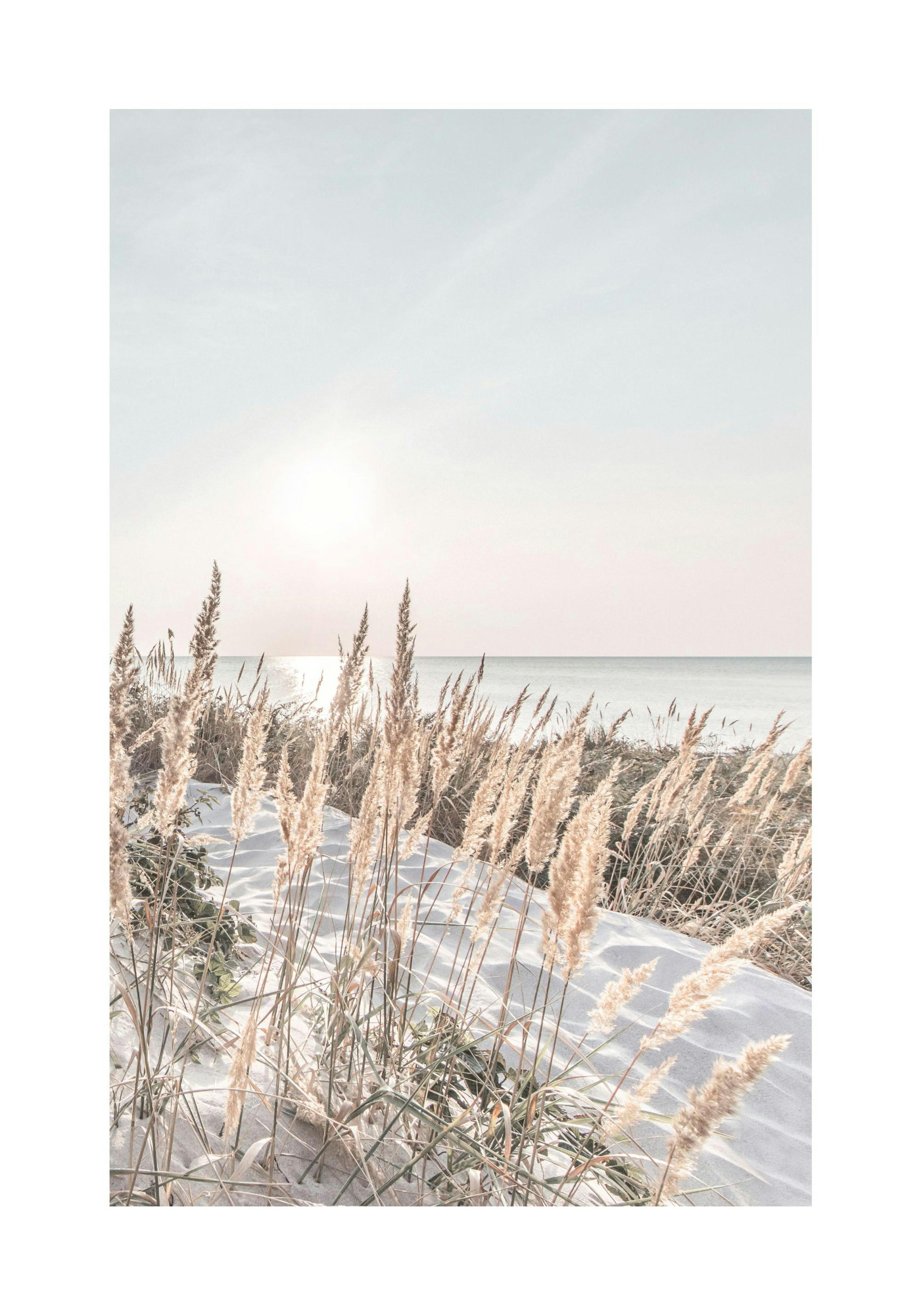 Fotografi av beige gress i hvit sand, kyst og solstråler i bakgrunnen. Strandplakat med beroligende farger.