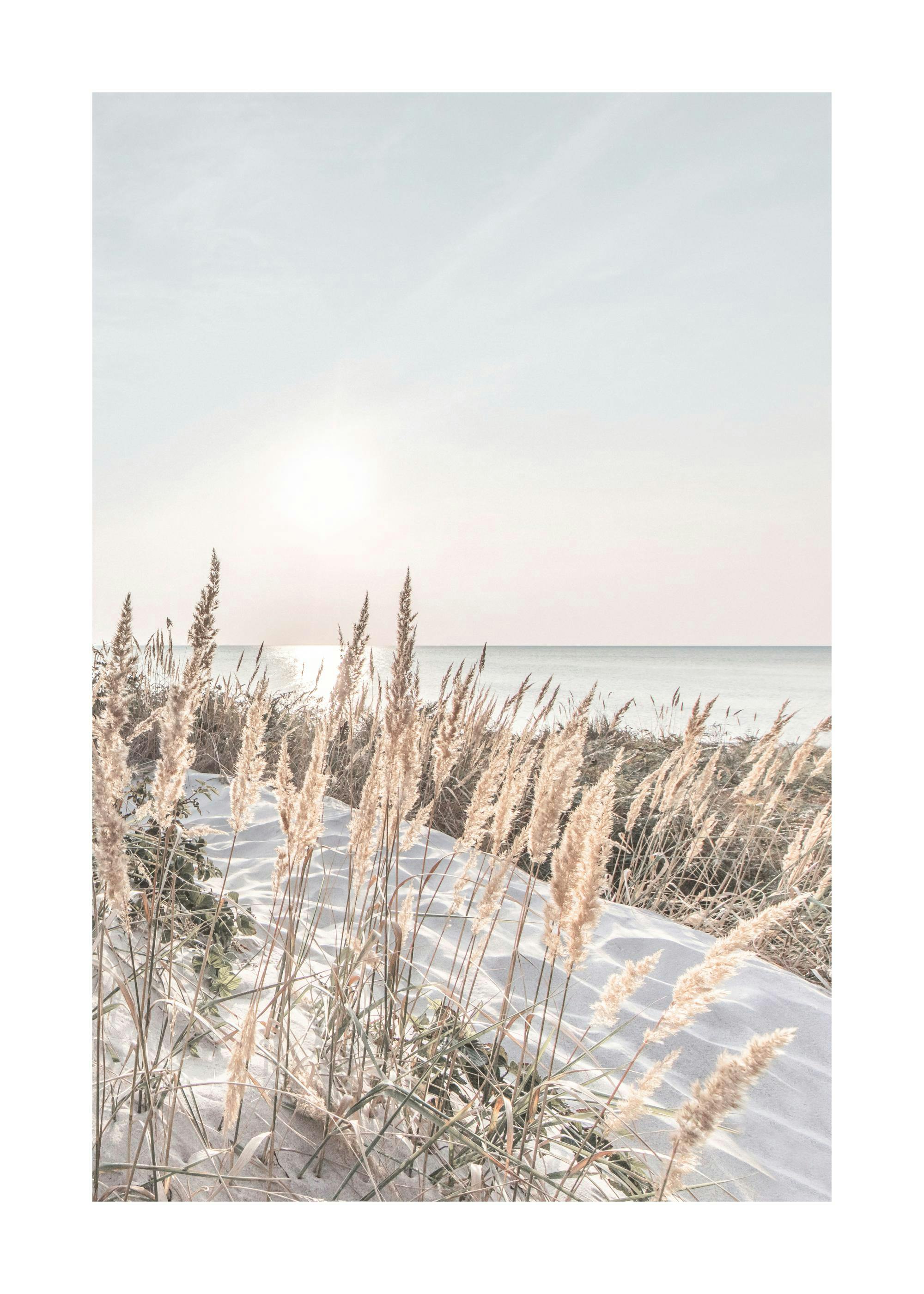 Coastal photography poster with beige grass on white sand, ocean, and sunbeams; calming home decor art print.