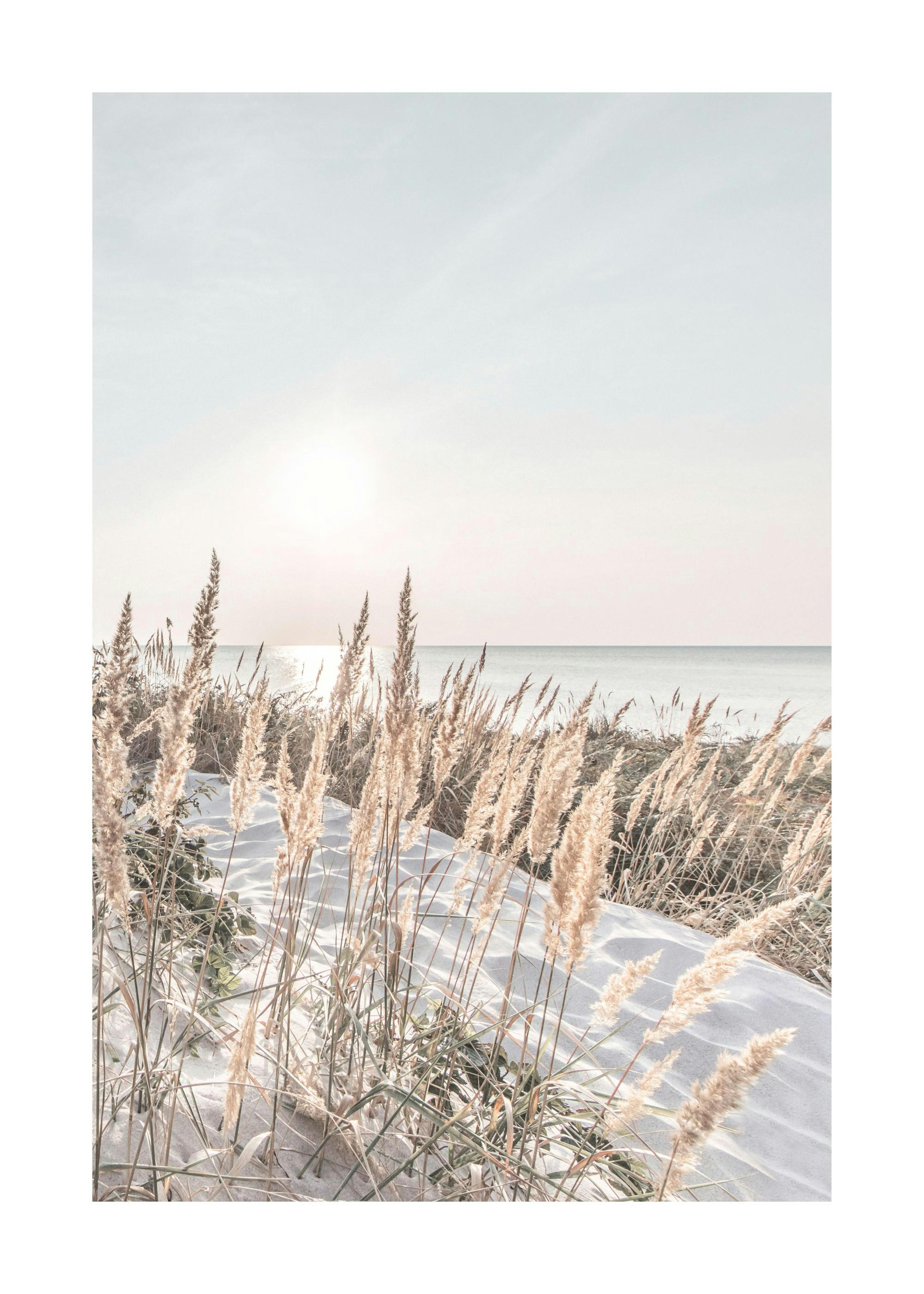 White Sand Coast Plakat 0