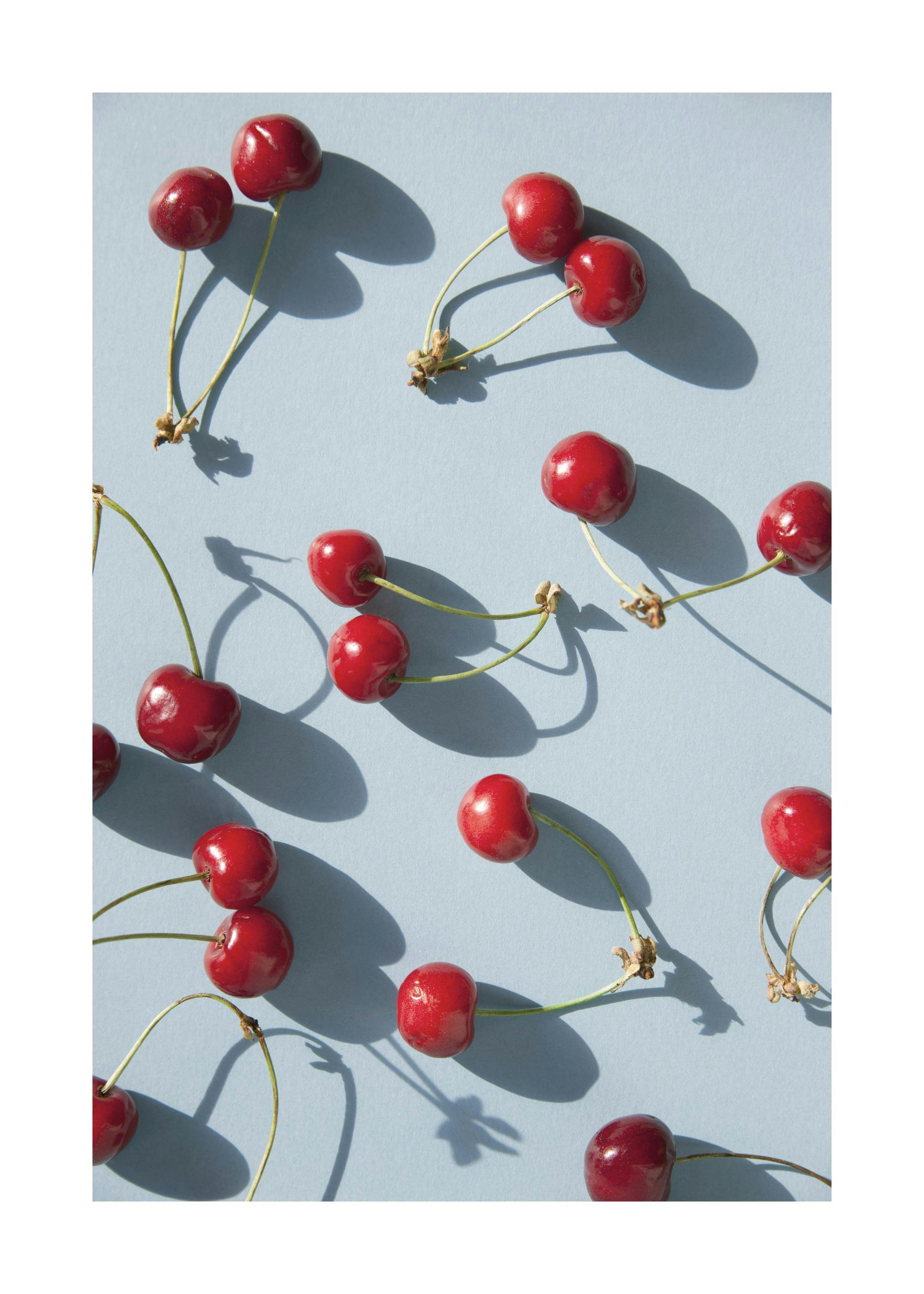 Red cherries with branches on a blue background, perfect fruit print for a poster.