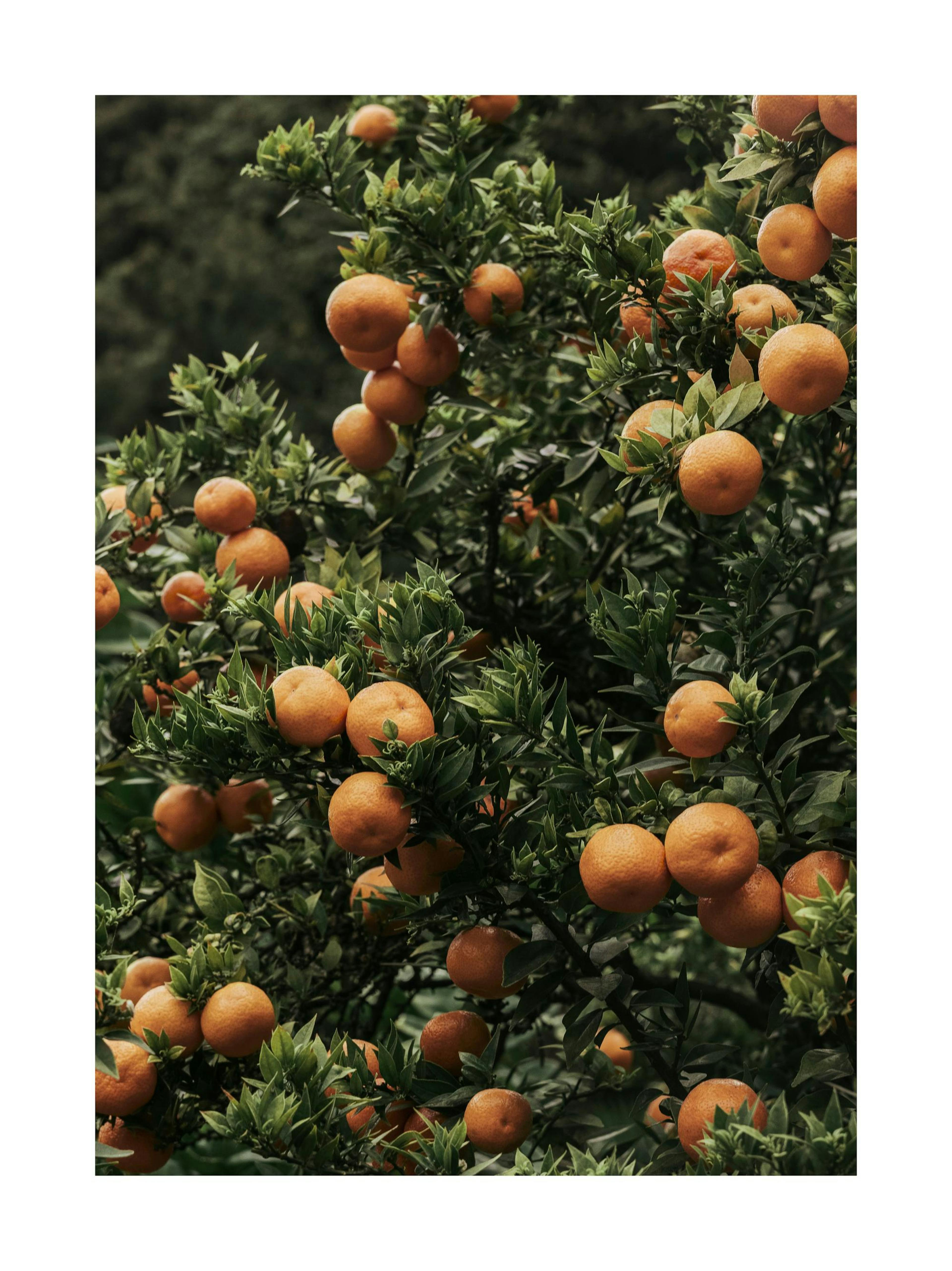 Product image: 1