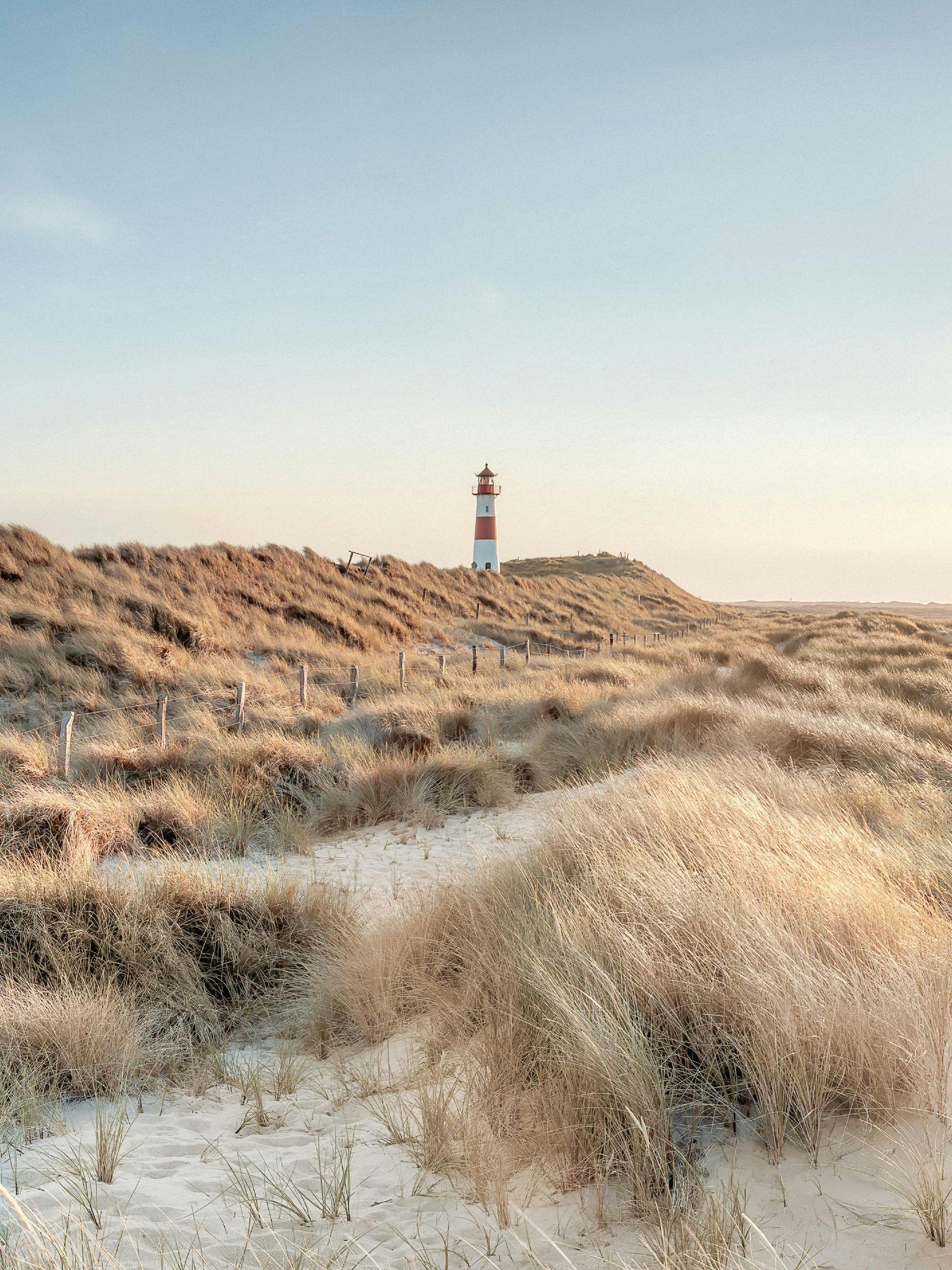 Photography of a red and white lighthouse on a sandy dune with tall dry grass, under a clear blue sky.