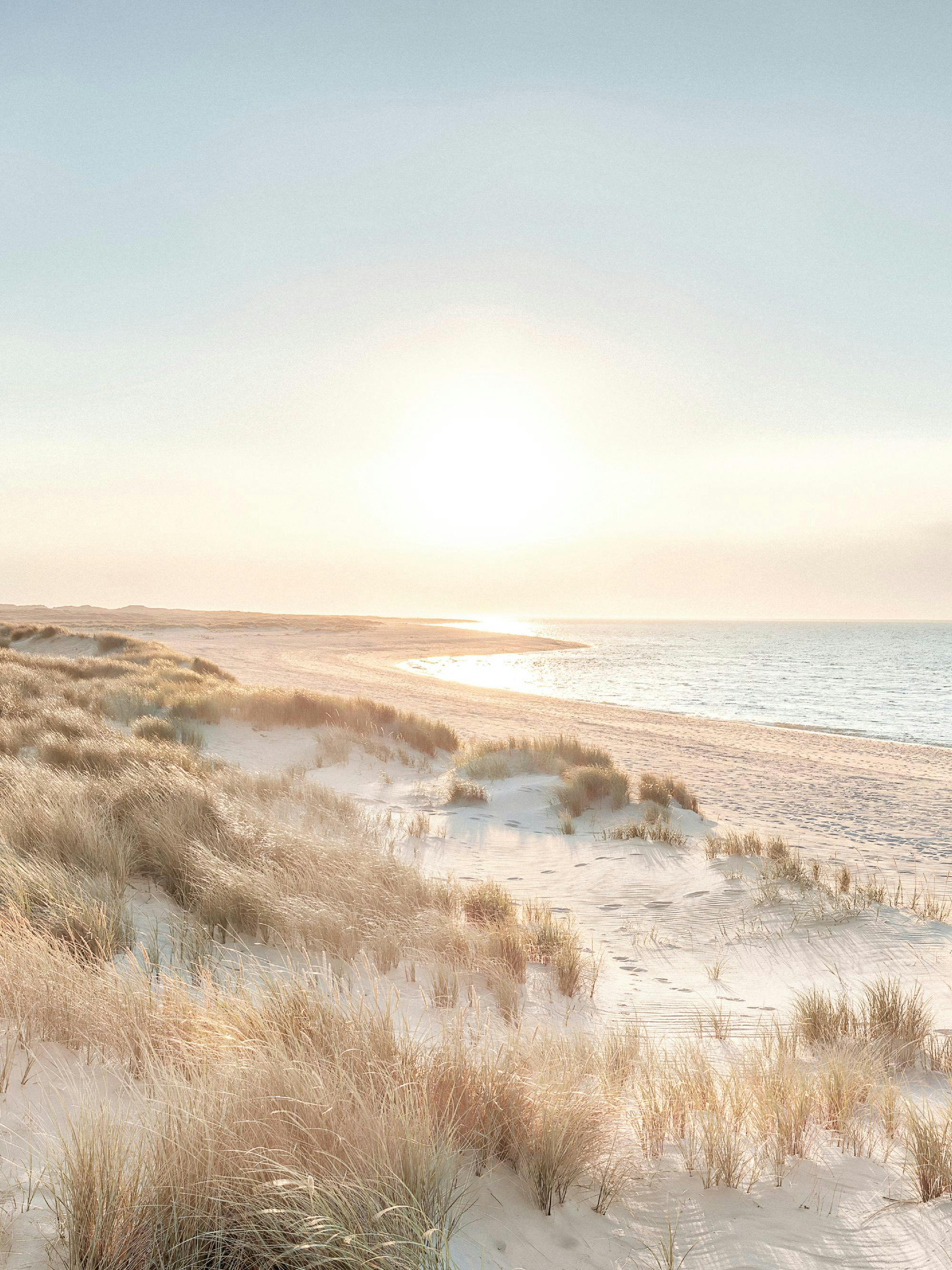Photography of a serene beach at sunset, with golden light reflecting on the calm ocean and sandy dunes with beach grass.