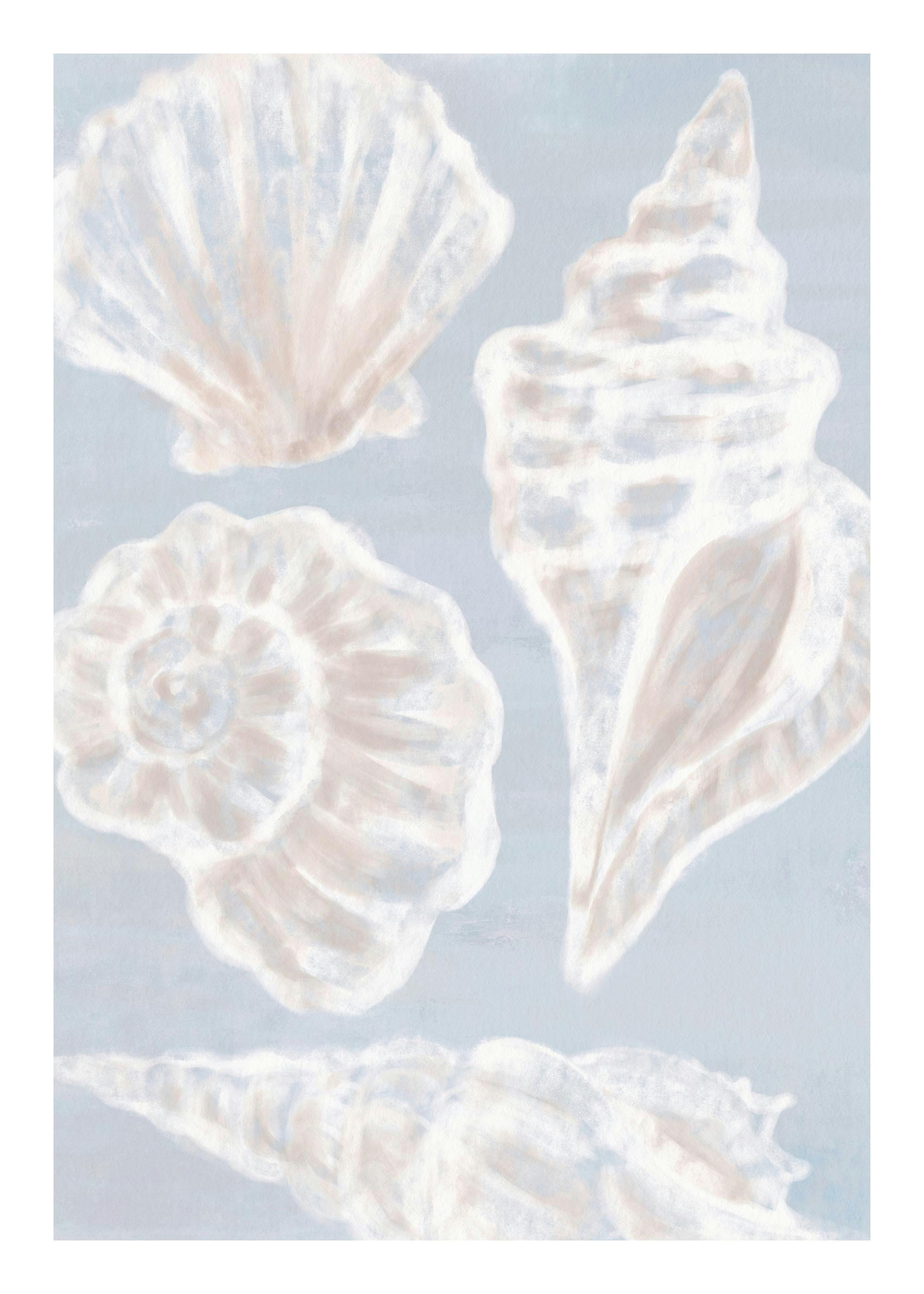 Affiche avec illustration de coquillages blancs et beige sur fond bleu clair