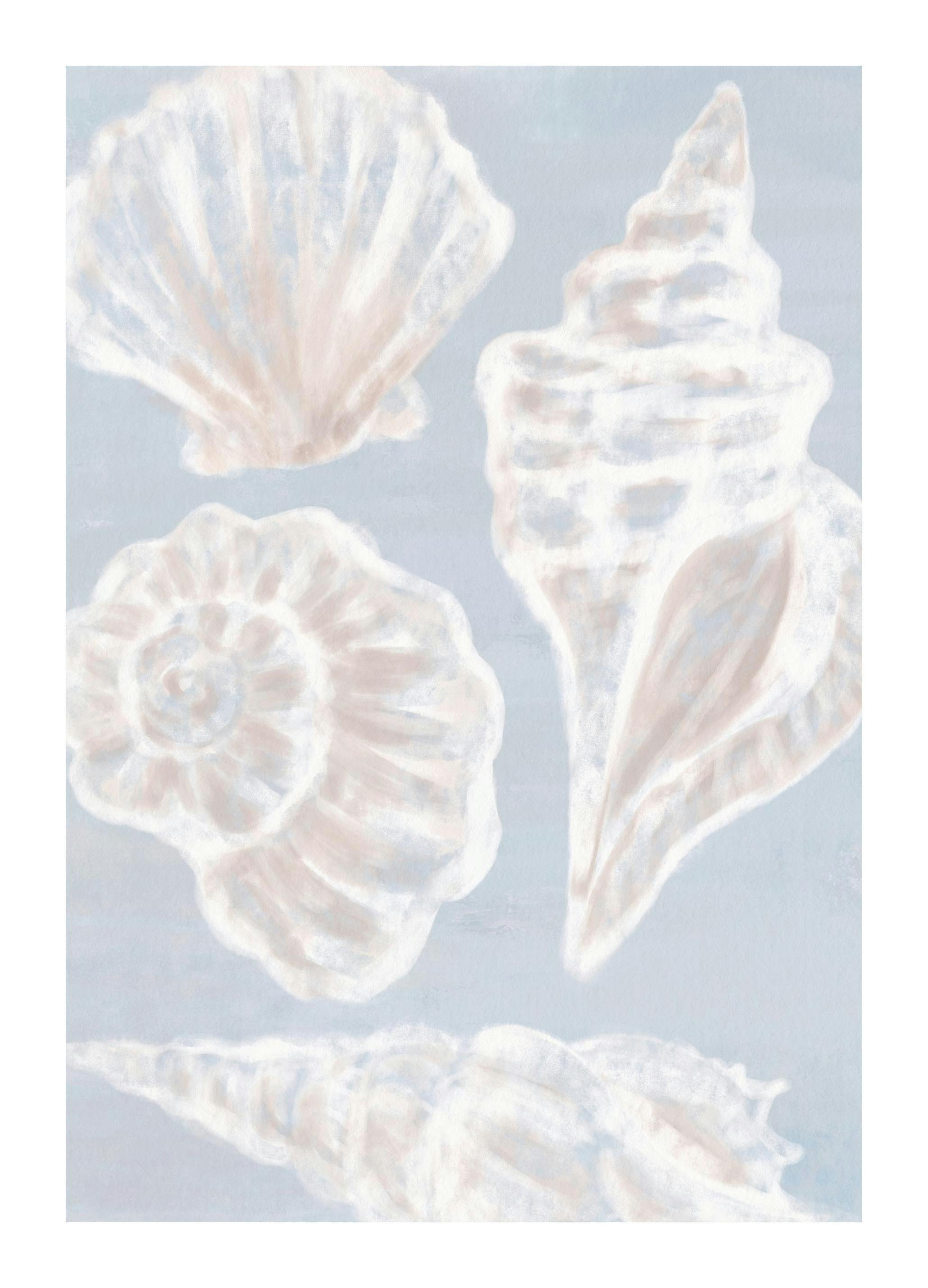 White Shells Affiche (30x40 cm)