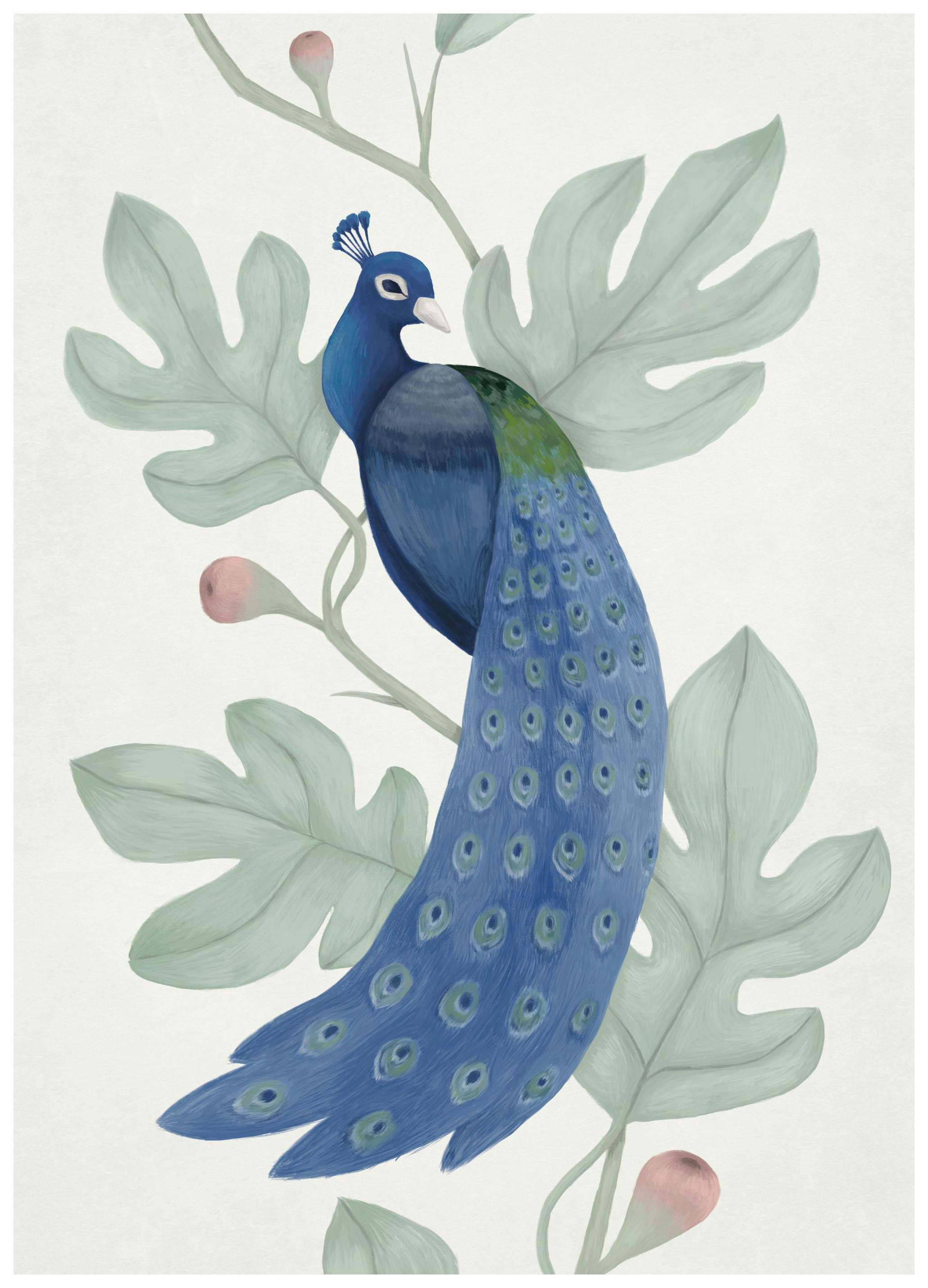 Vintage Blue Peacock Poster (30x40 cm)