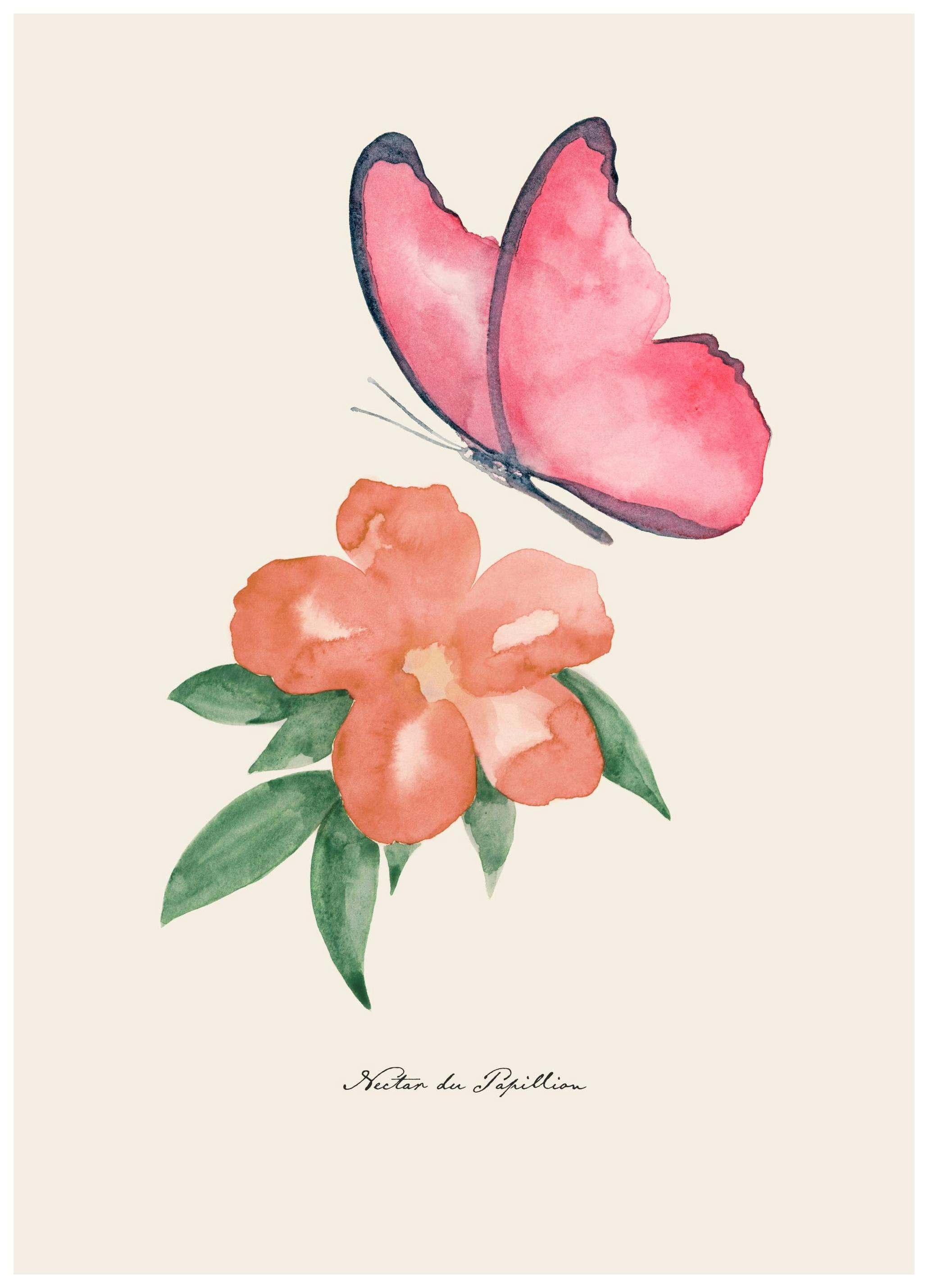 Nectar de Papillon​ Print (50x70 cm)