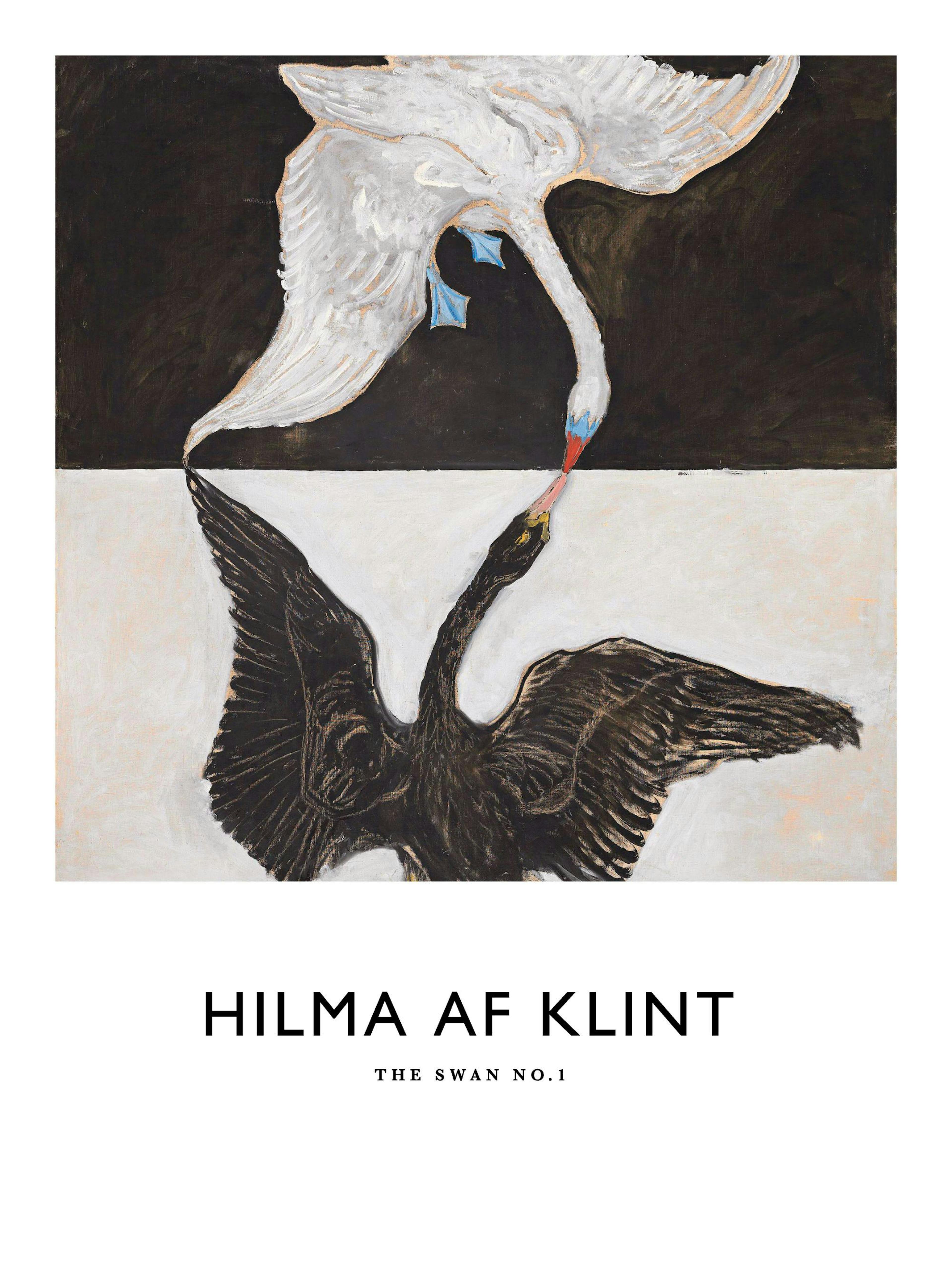 Poster The Swan, No. 1 di Hilma af Klint, cigni bianco e nero che si baciano su sfondo diviso.