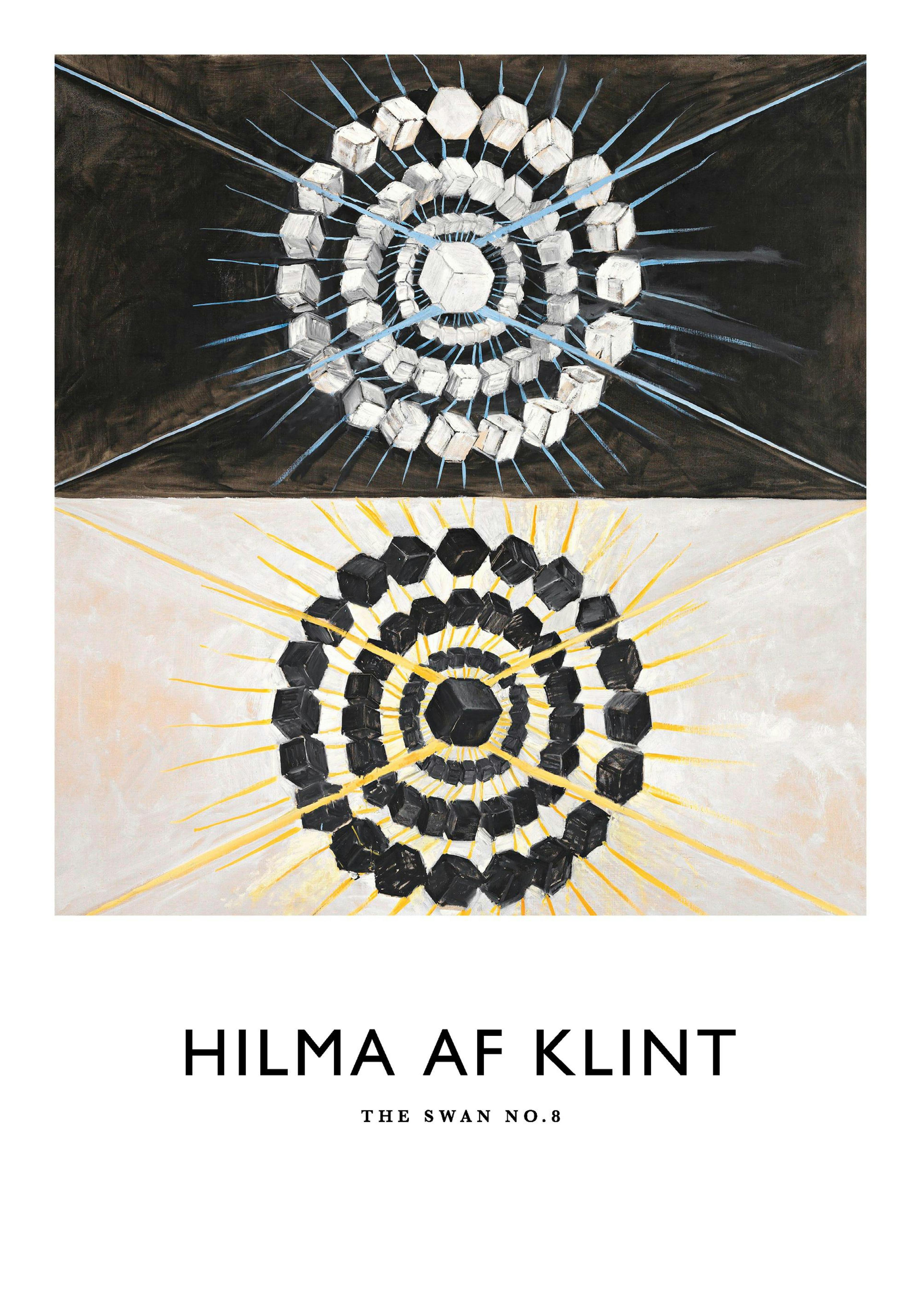 Hilma af Klints The Swan, No. 8 print with black and white halves and cool geometric motifs.