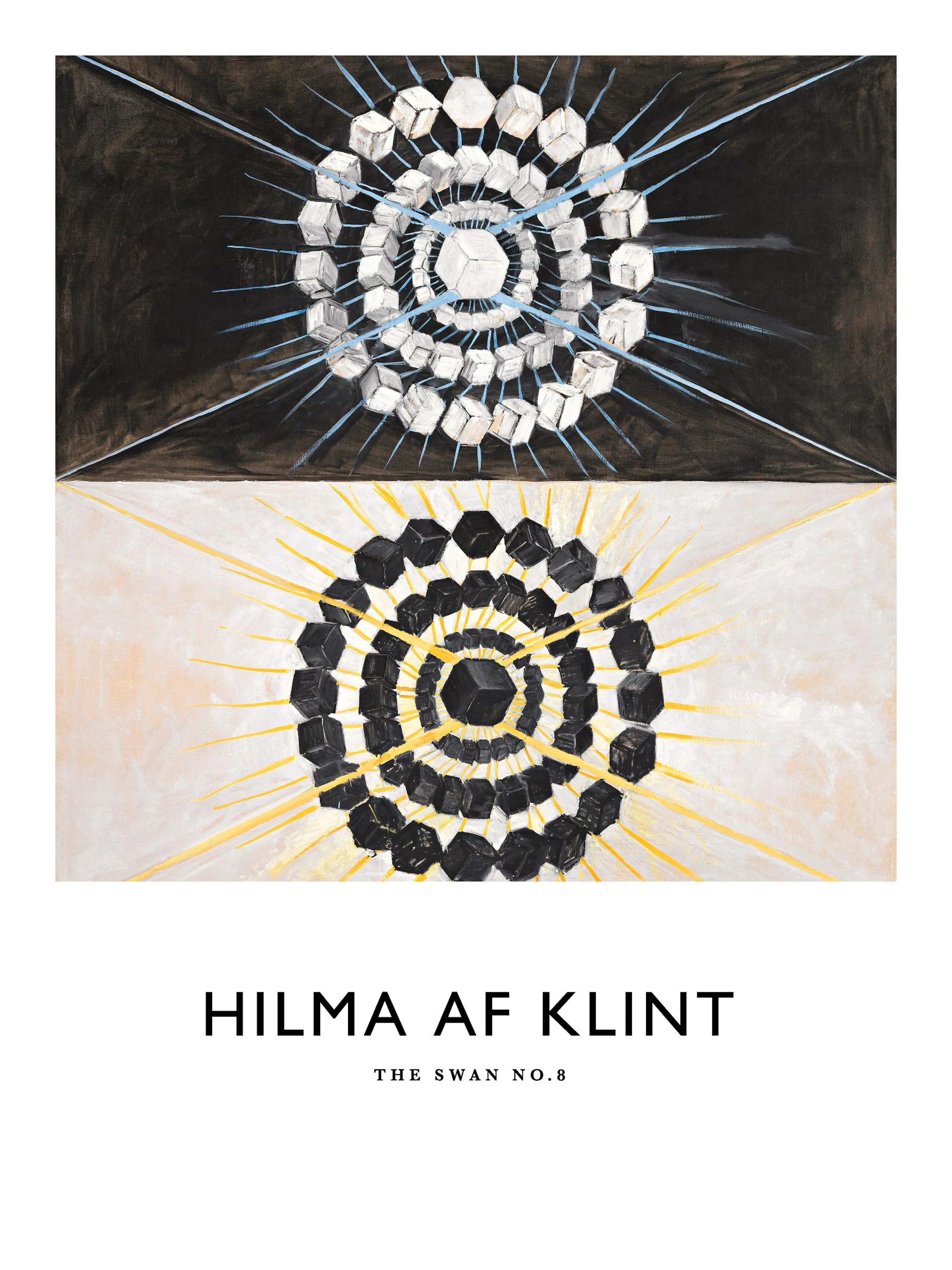 Hilma af Klints The Swan, No. 8 print with black and white halves and cool geometric motifs.
