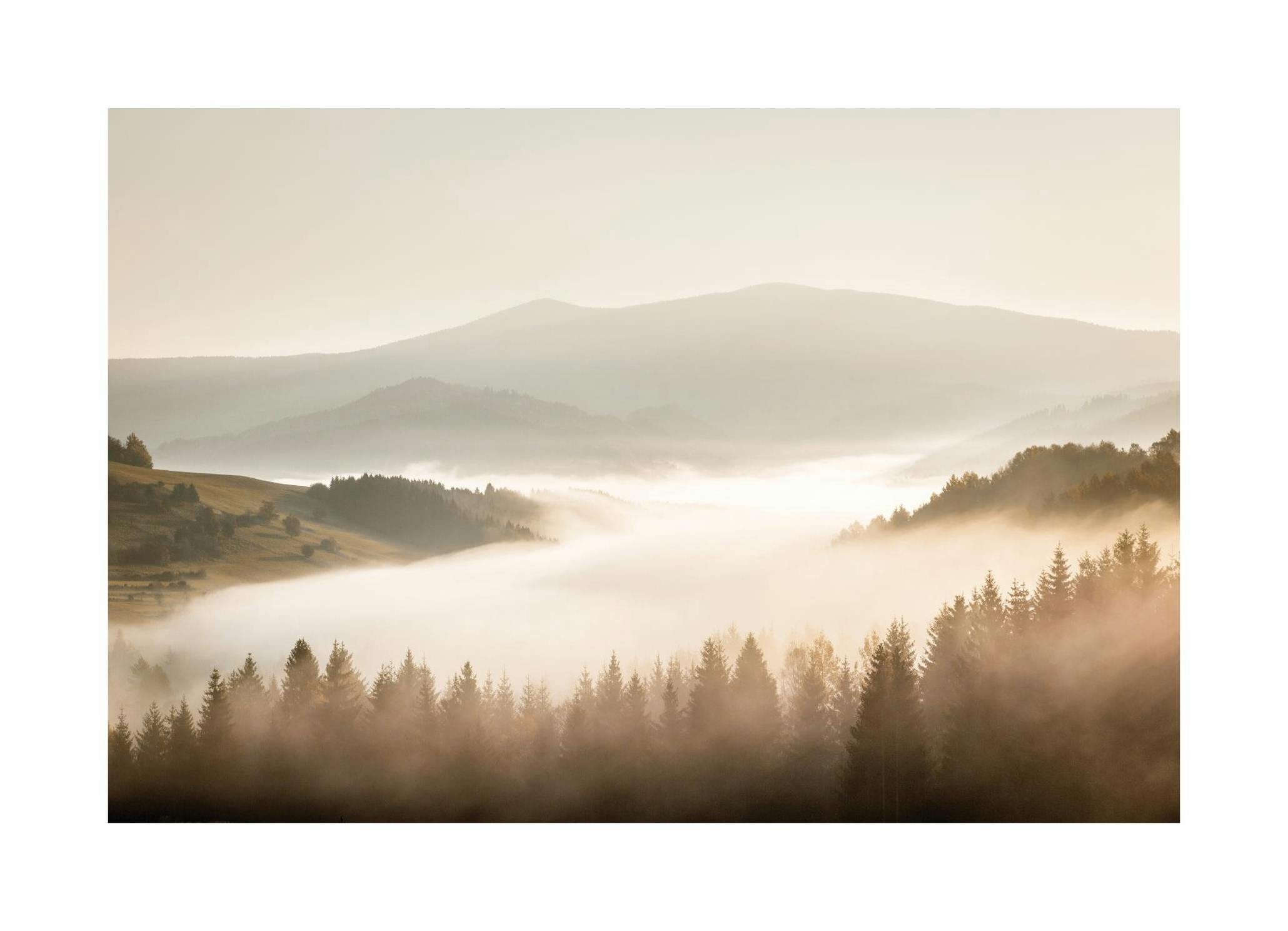 Misty Landscape Affiche (30x40 cm)