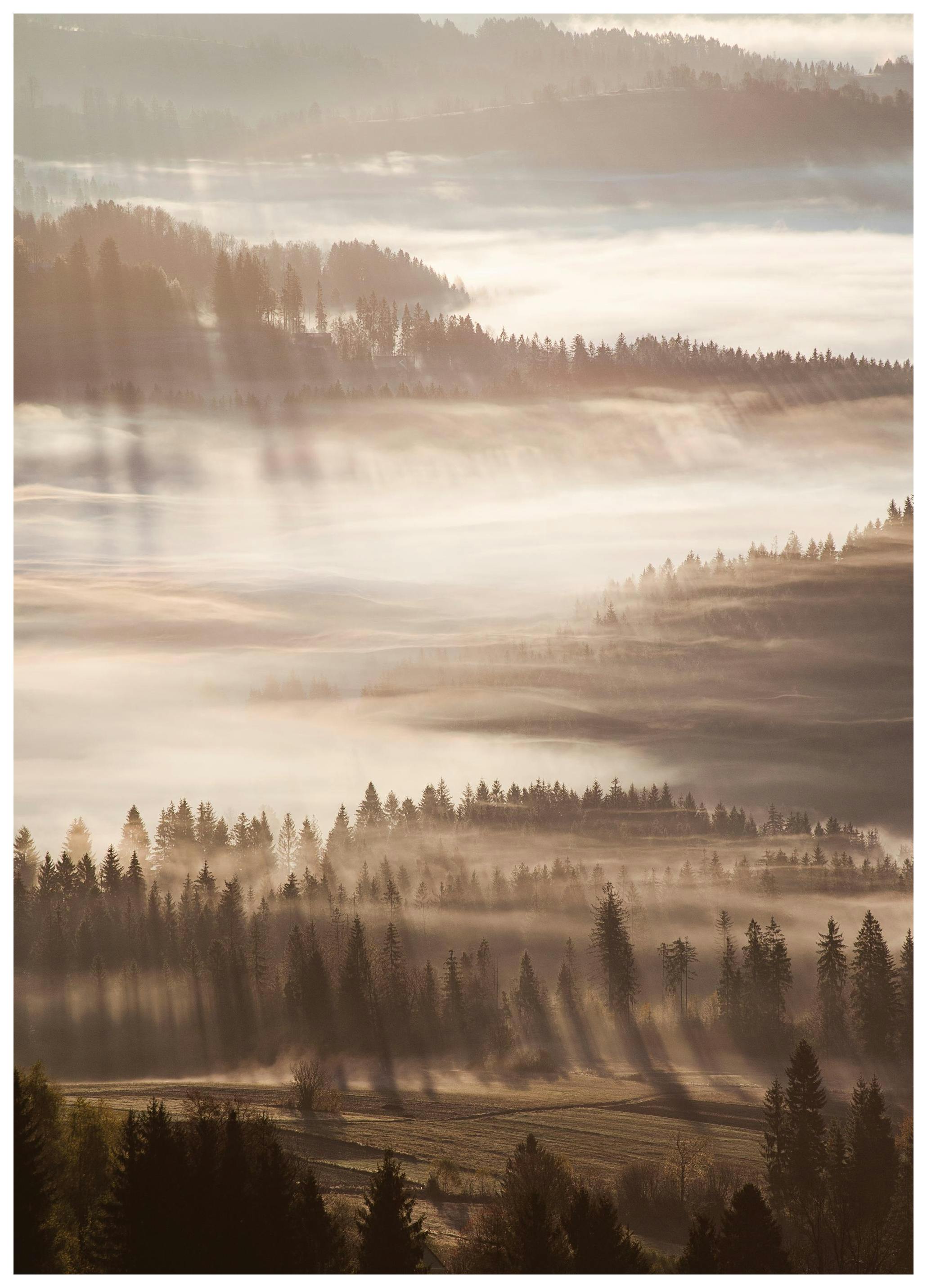 Sun Rays Through Mist Poster (30x40 cm)