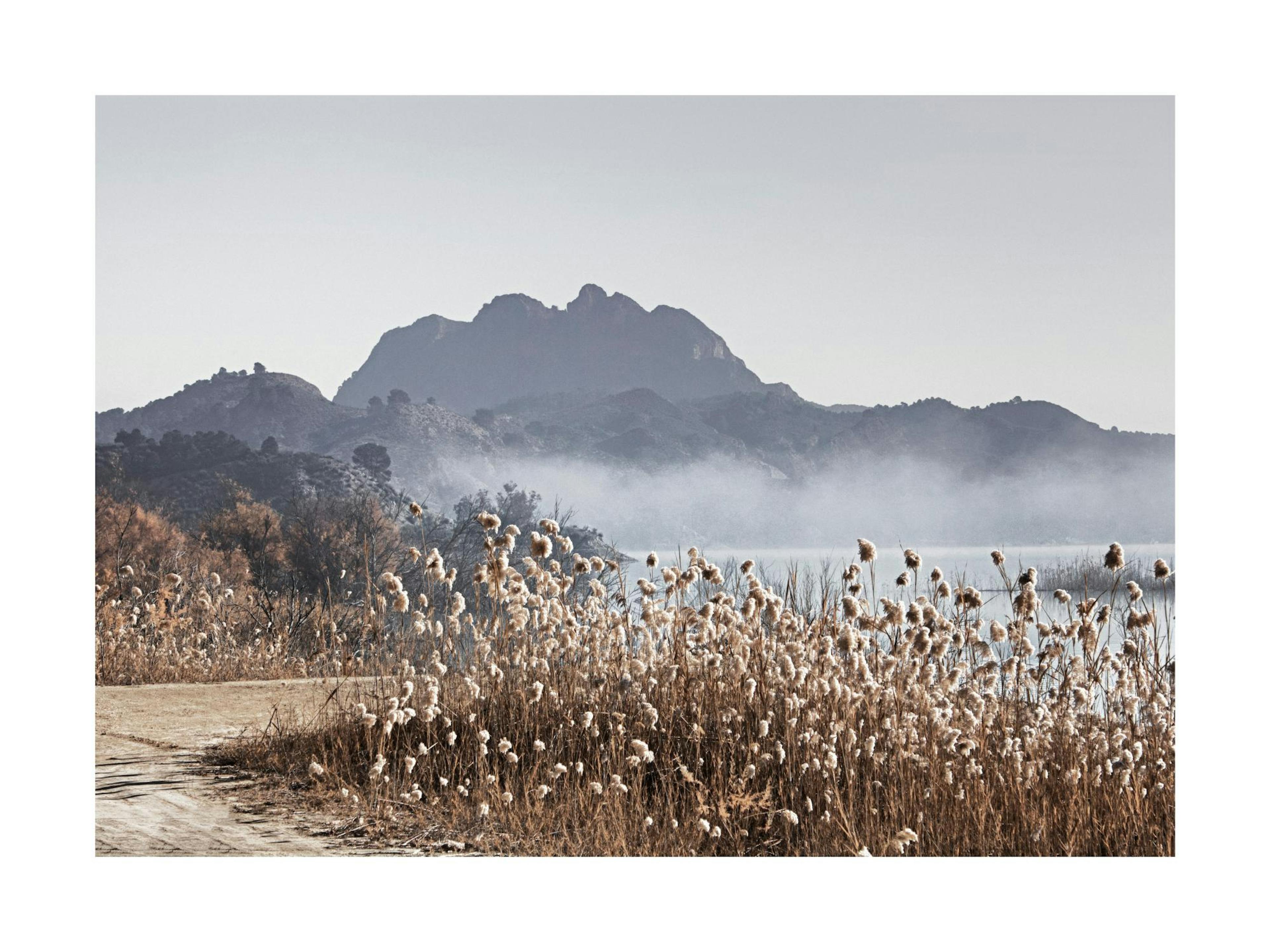 Mountain river print with fog and dried grass, a nature poster