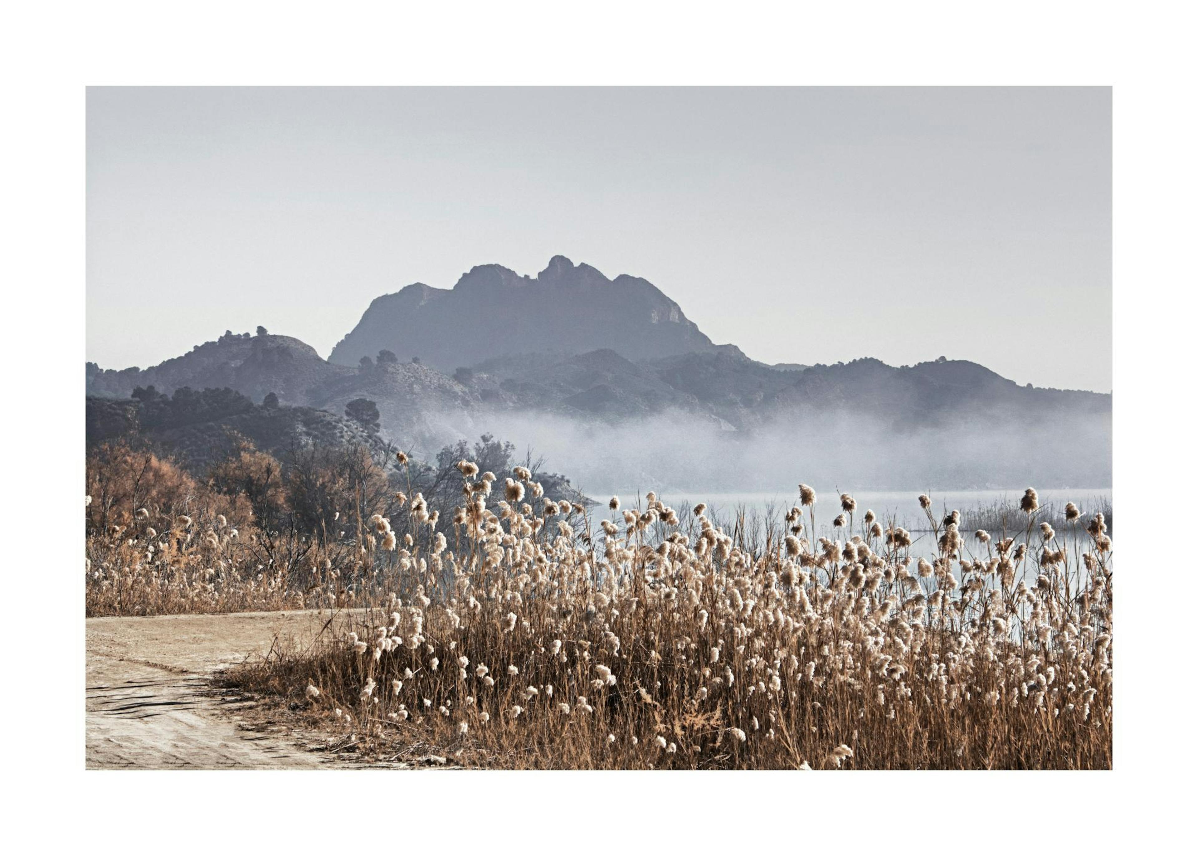 A nature photography poster of a foggy mountain river with dried reeds in the foreground.