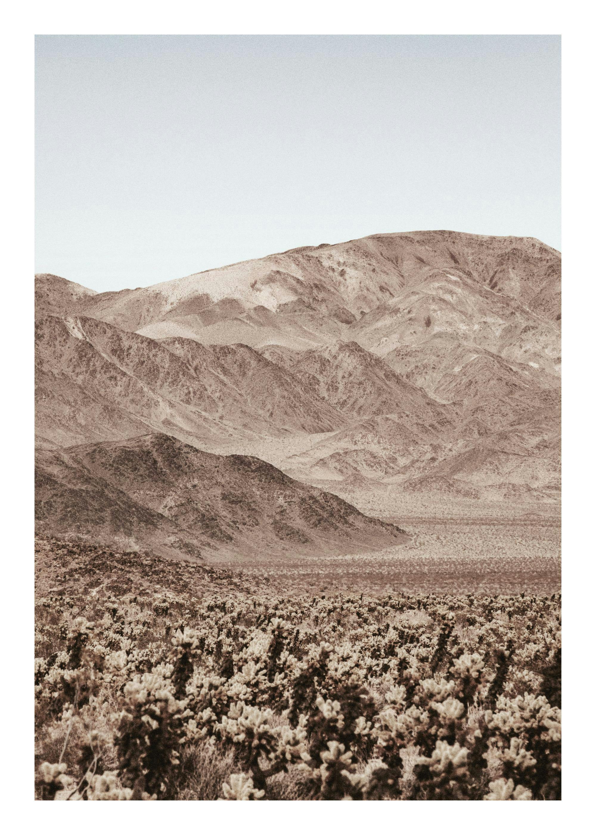 Rocky Mountains desert landscape print with rocky hills and sparse vegetation under a light sky poster.