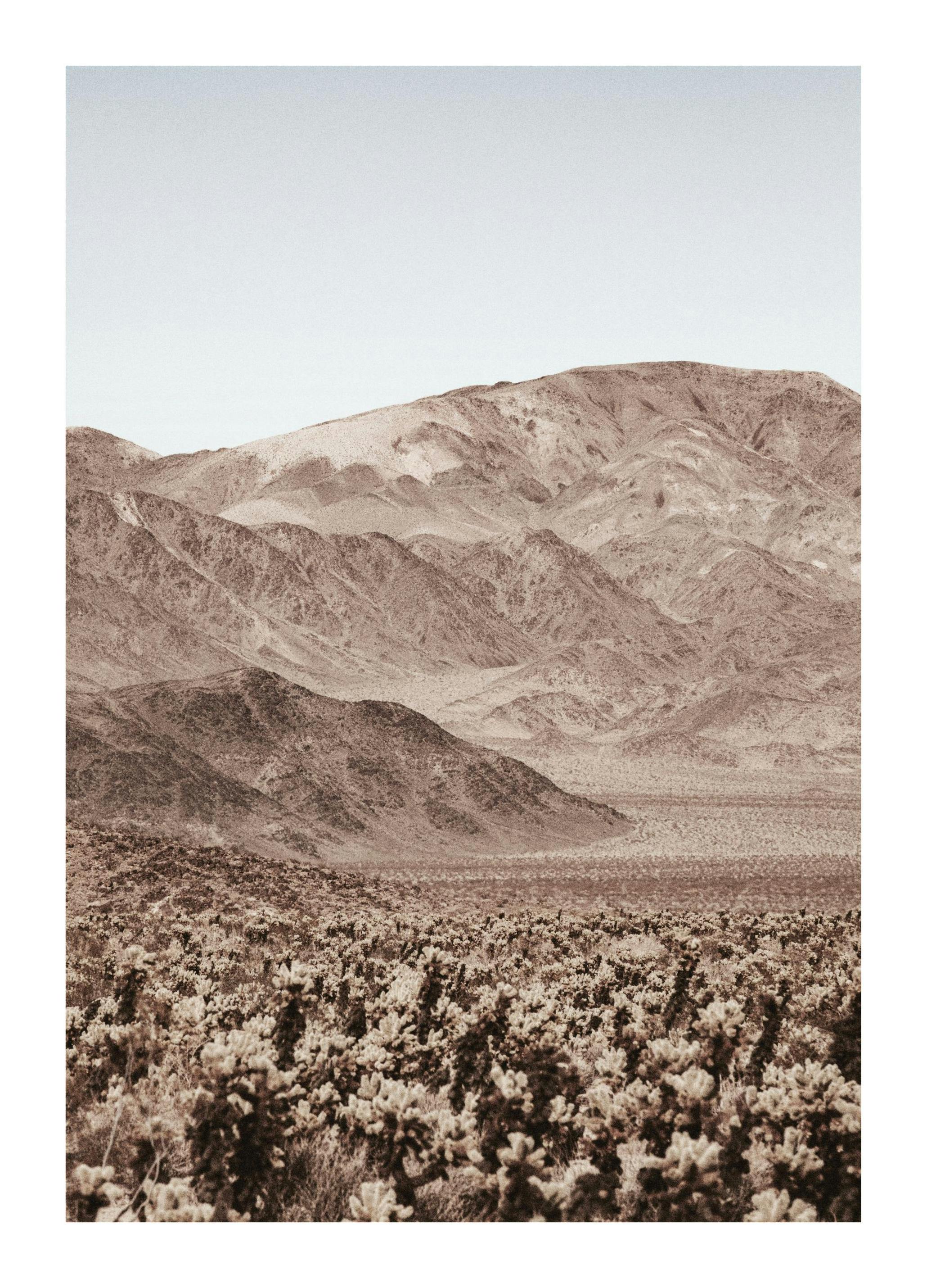 Rocky Mountains Plakat (30x40 cm)