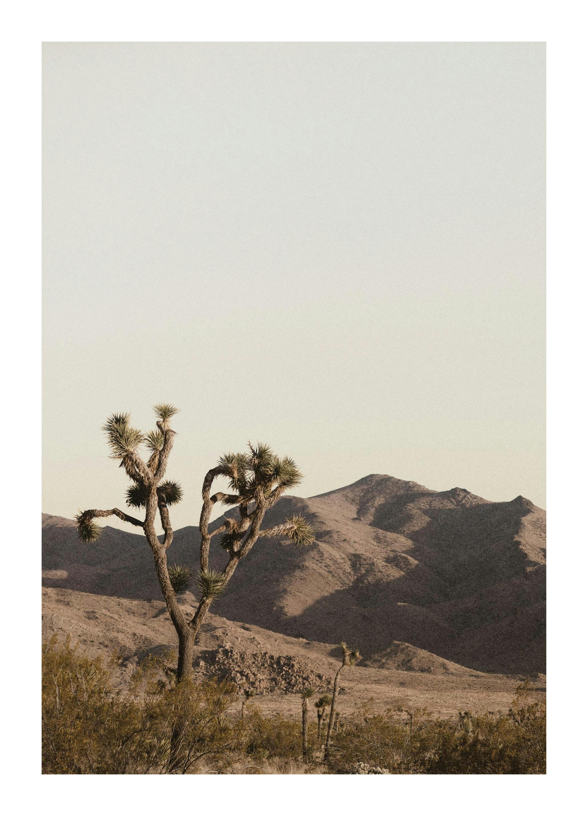 Ruddy Earth Plakat (50x70 cm)
