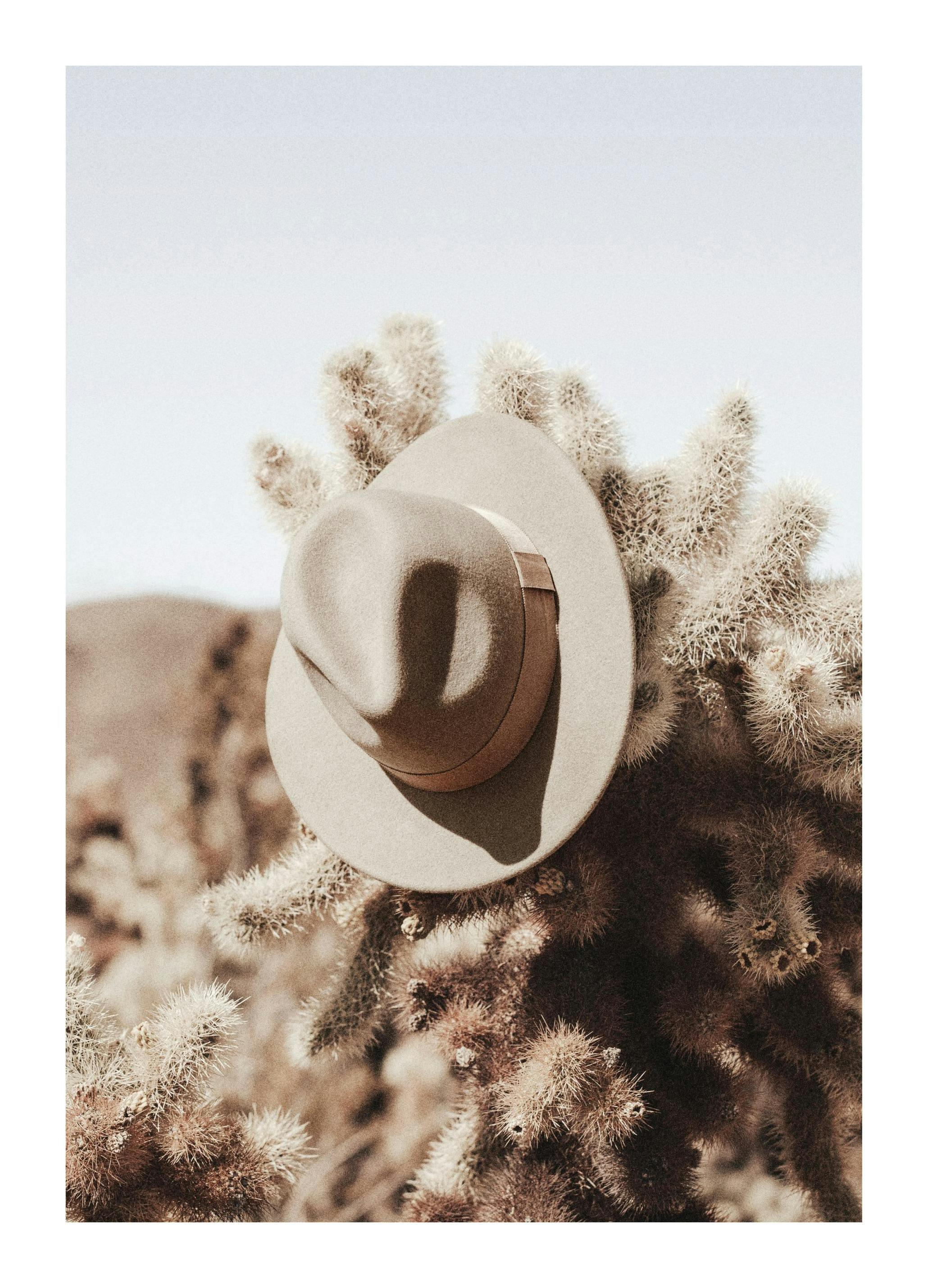 Hanging Cowboy Hat Plakat (50x70 cm)