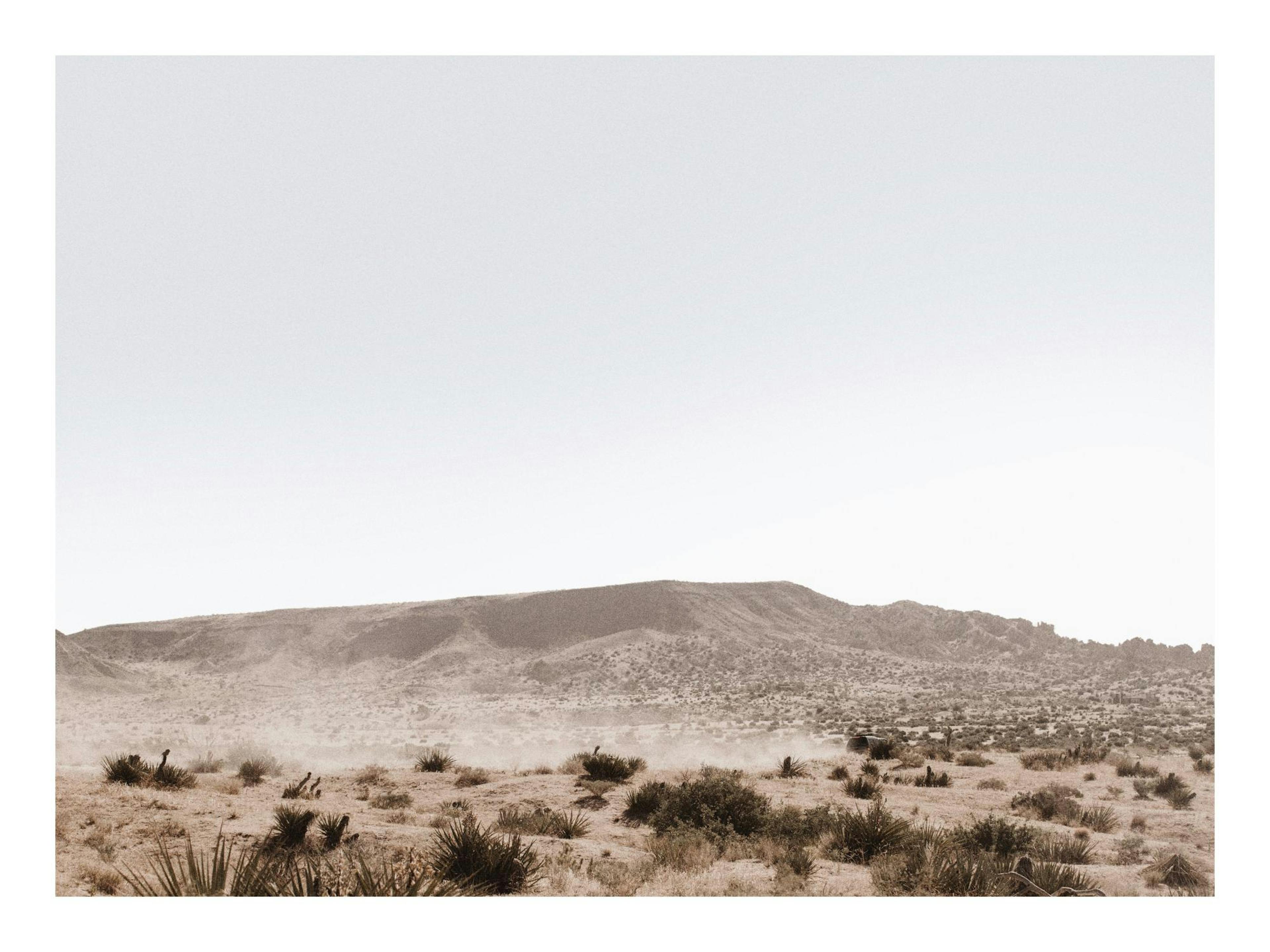 Póster desértico Joshua Tree con camino polvoriento, cactus y montañas bajo un cielo claro. Arte de paisaje natural.