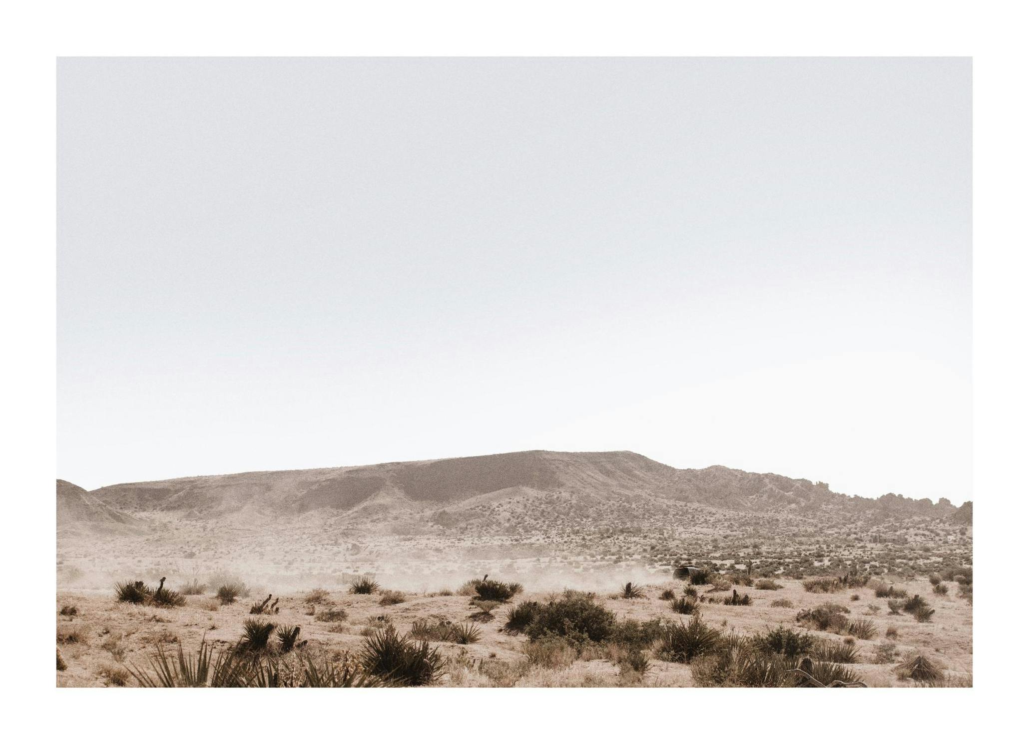 Dusty Joshua Tree Road Plakat (50x70 cm)