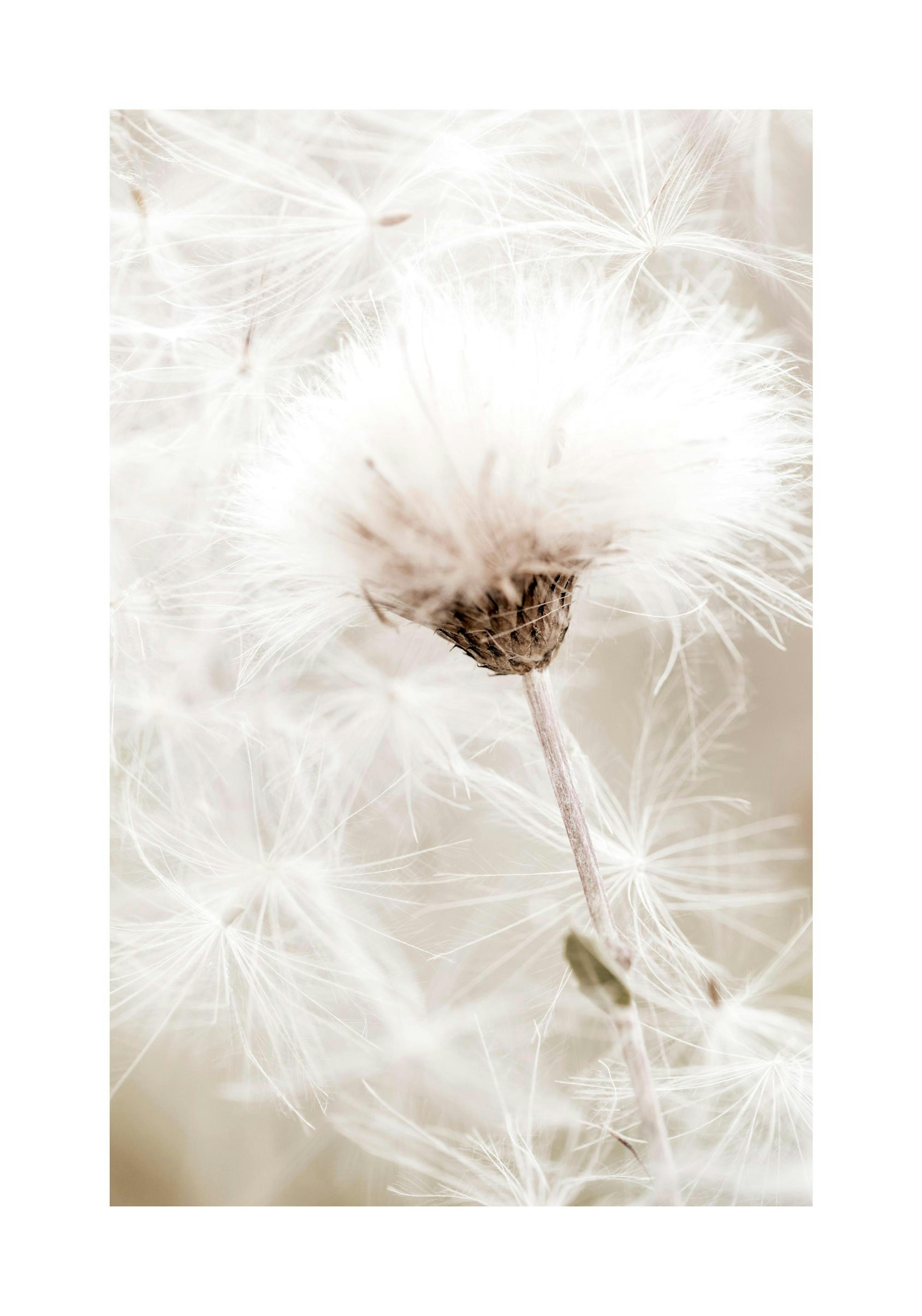 Product image: 1