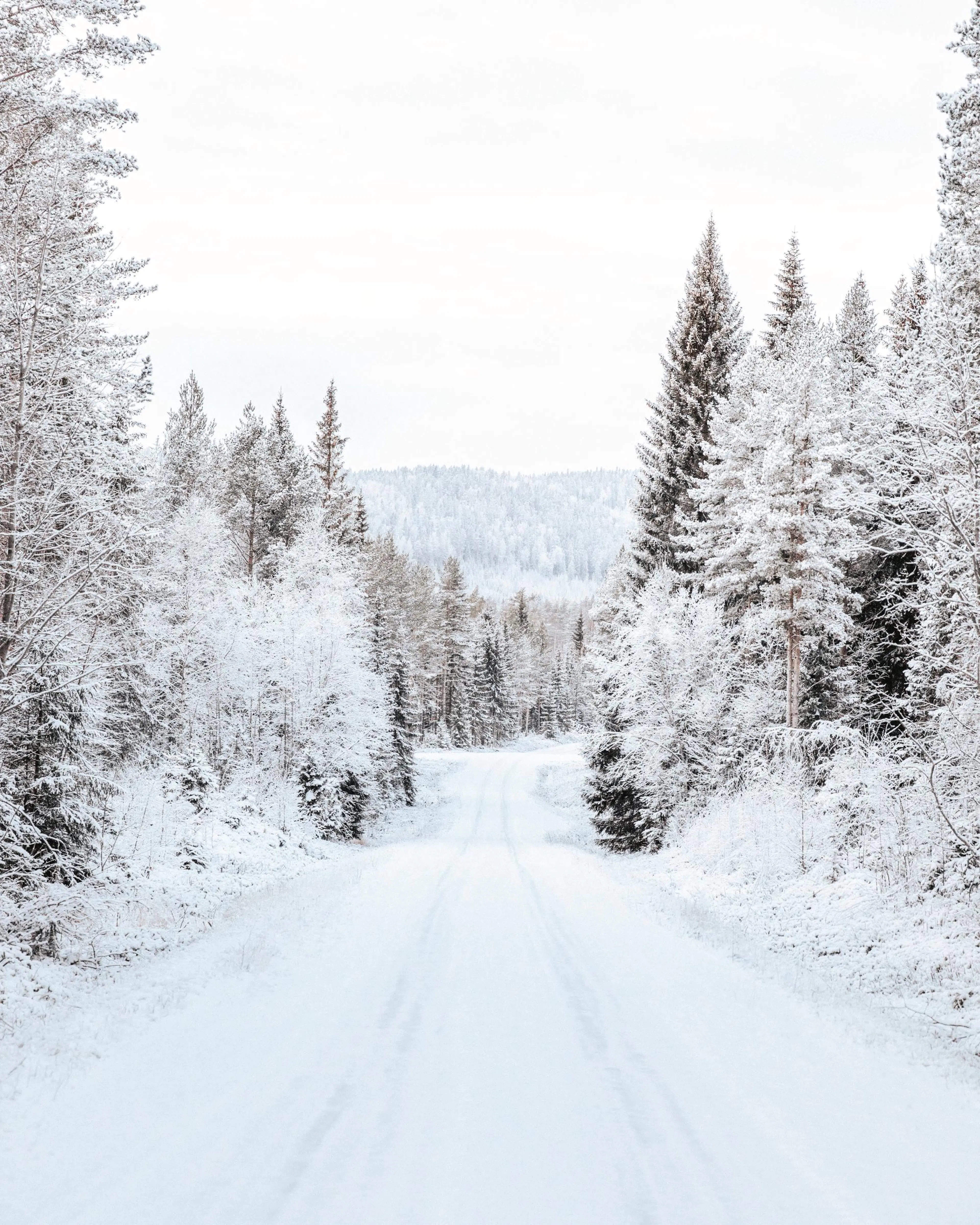 Carretera nevada a través de un bosque invernal con pinos cubiertos de nieve y un cielo claro.