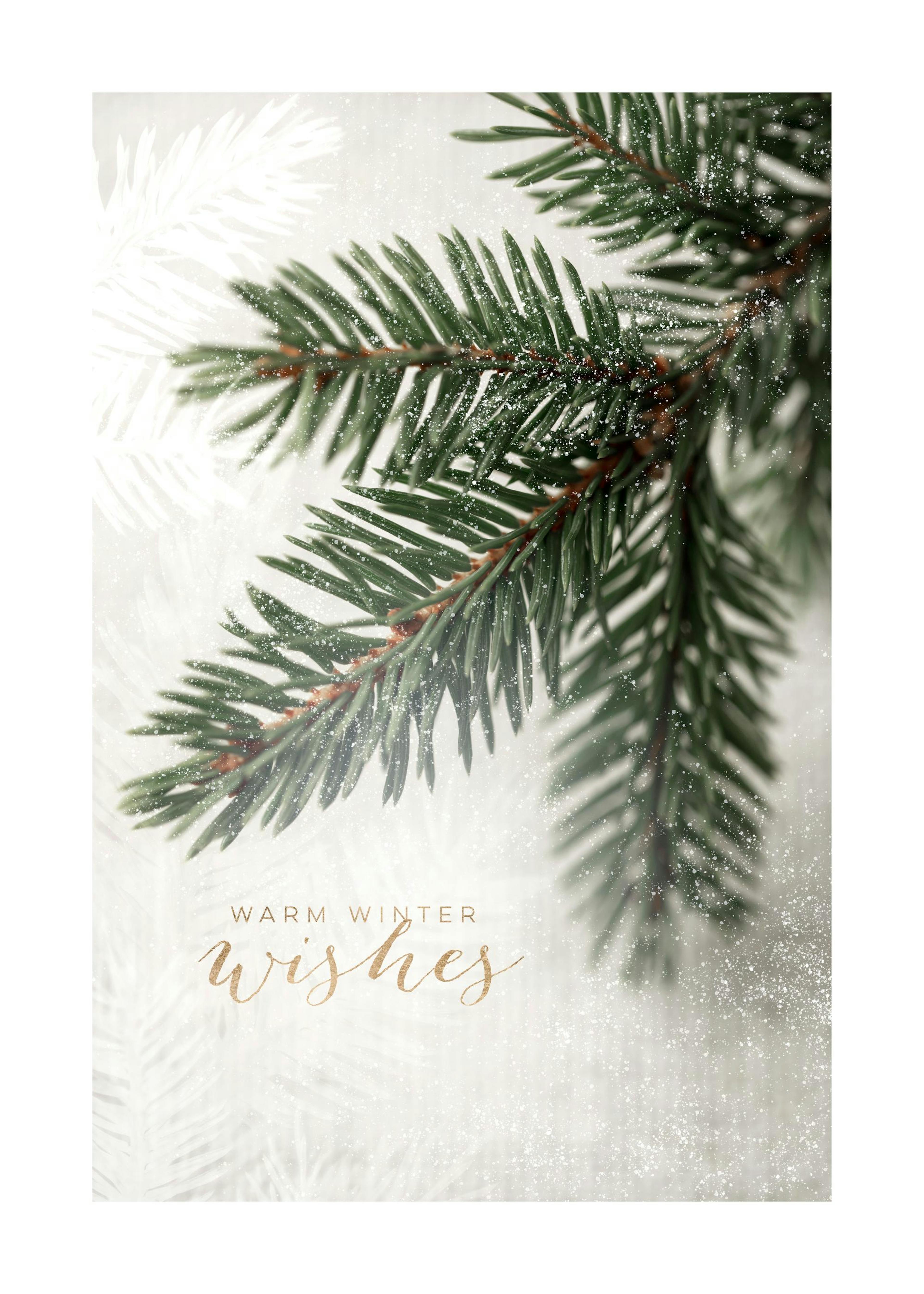 Spruce Branch Plakat 0