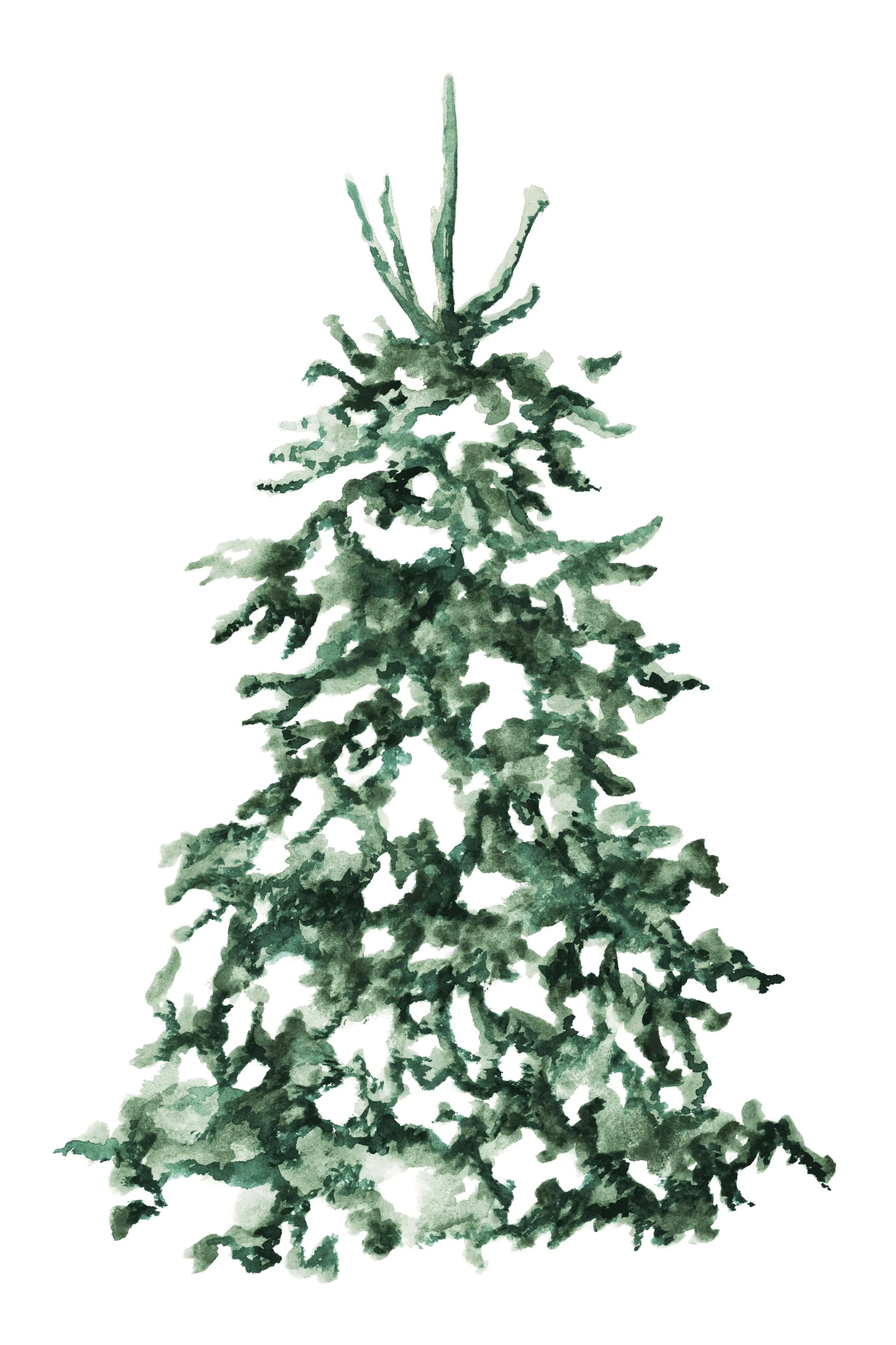 Póster de árbol navideño verde cubierto de nieve, estilo acuarela.
