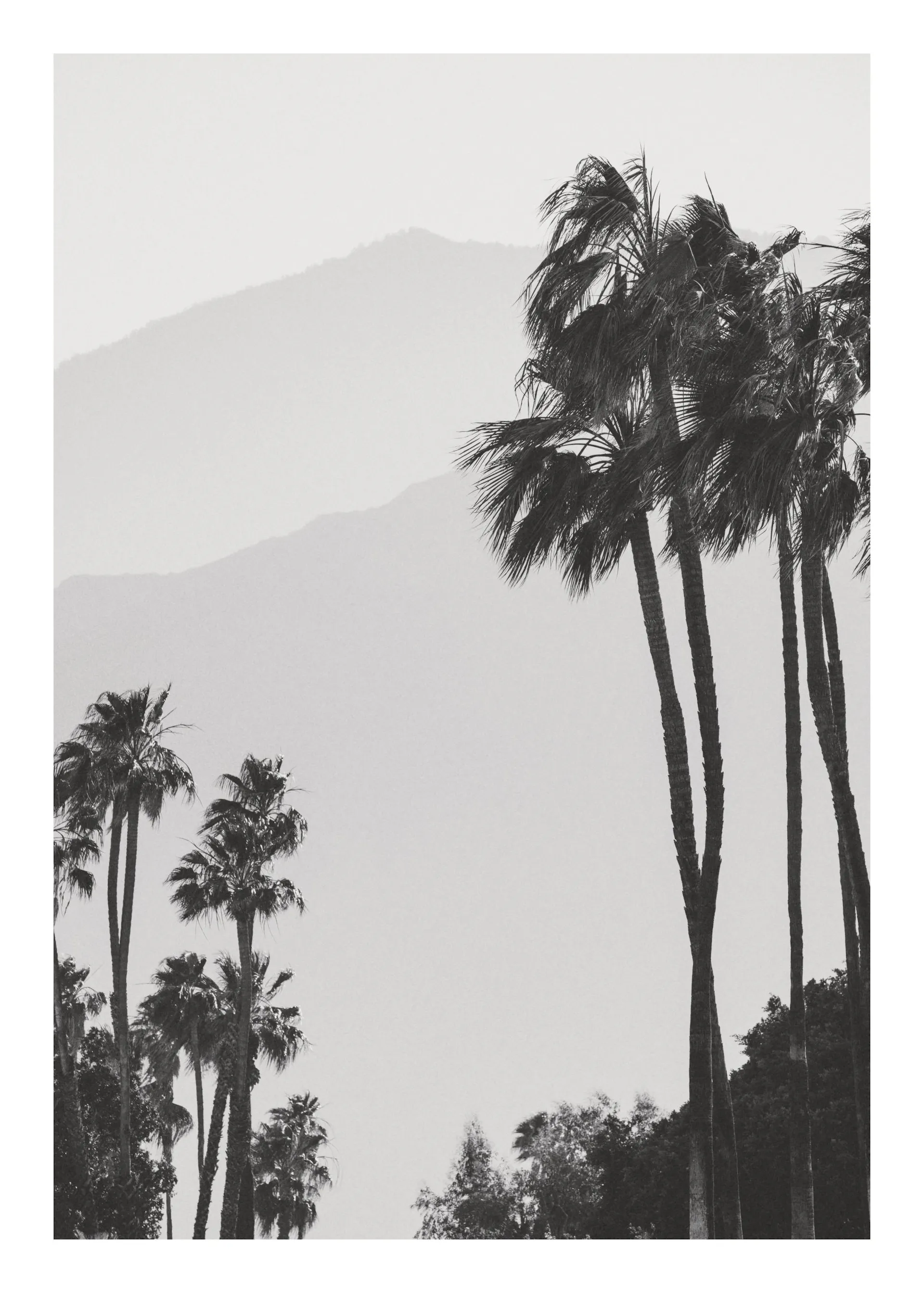 On the Rocks Print – Stylish Art Print & Poster | Desenio