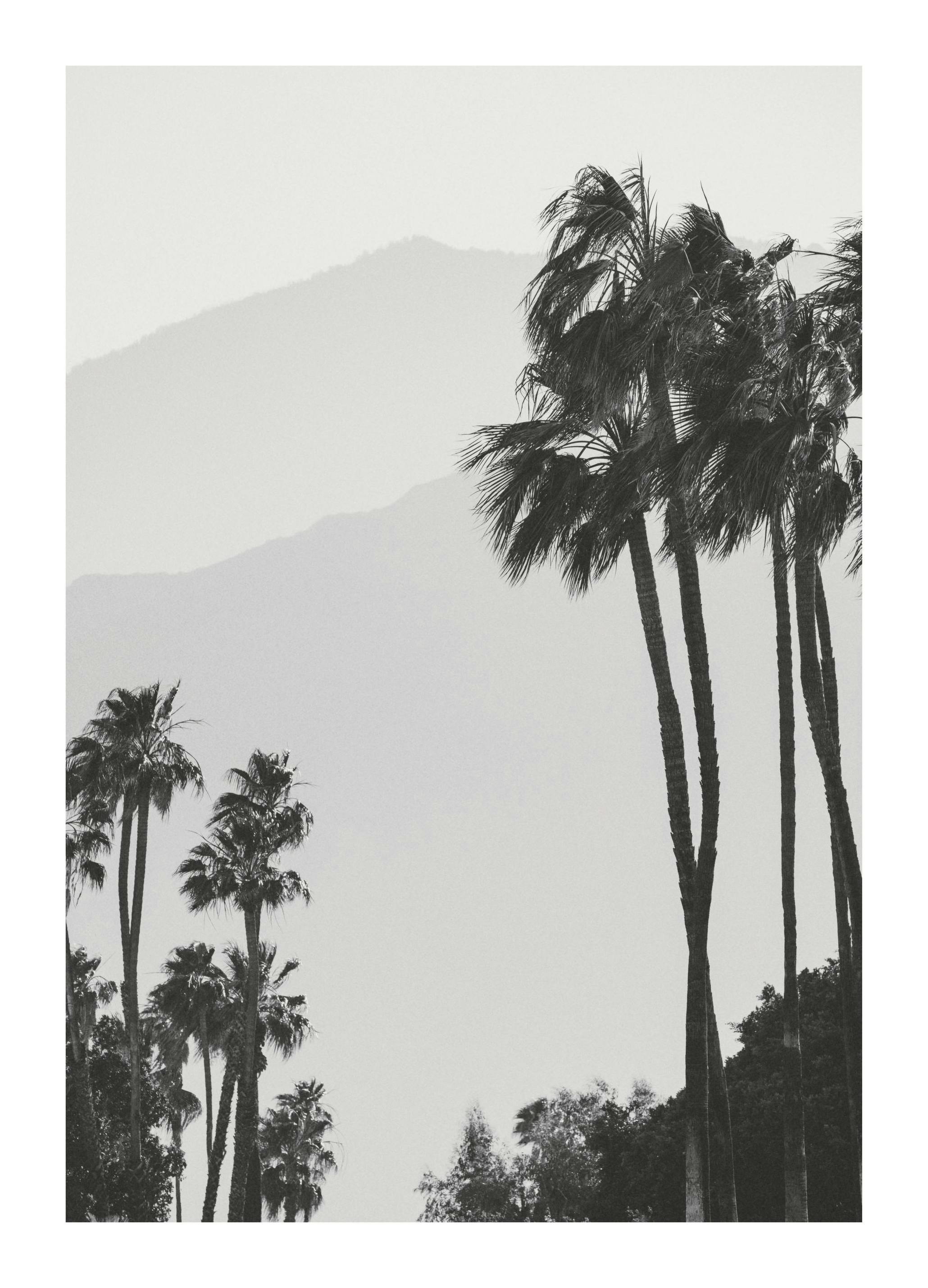 Misty Mountain View Affiche (30x40 cm)