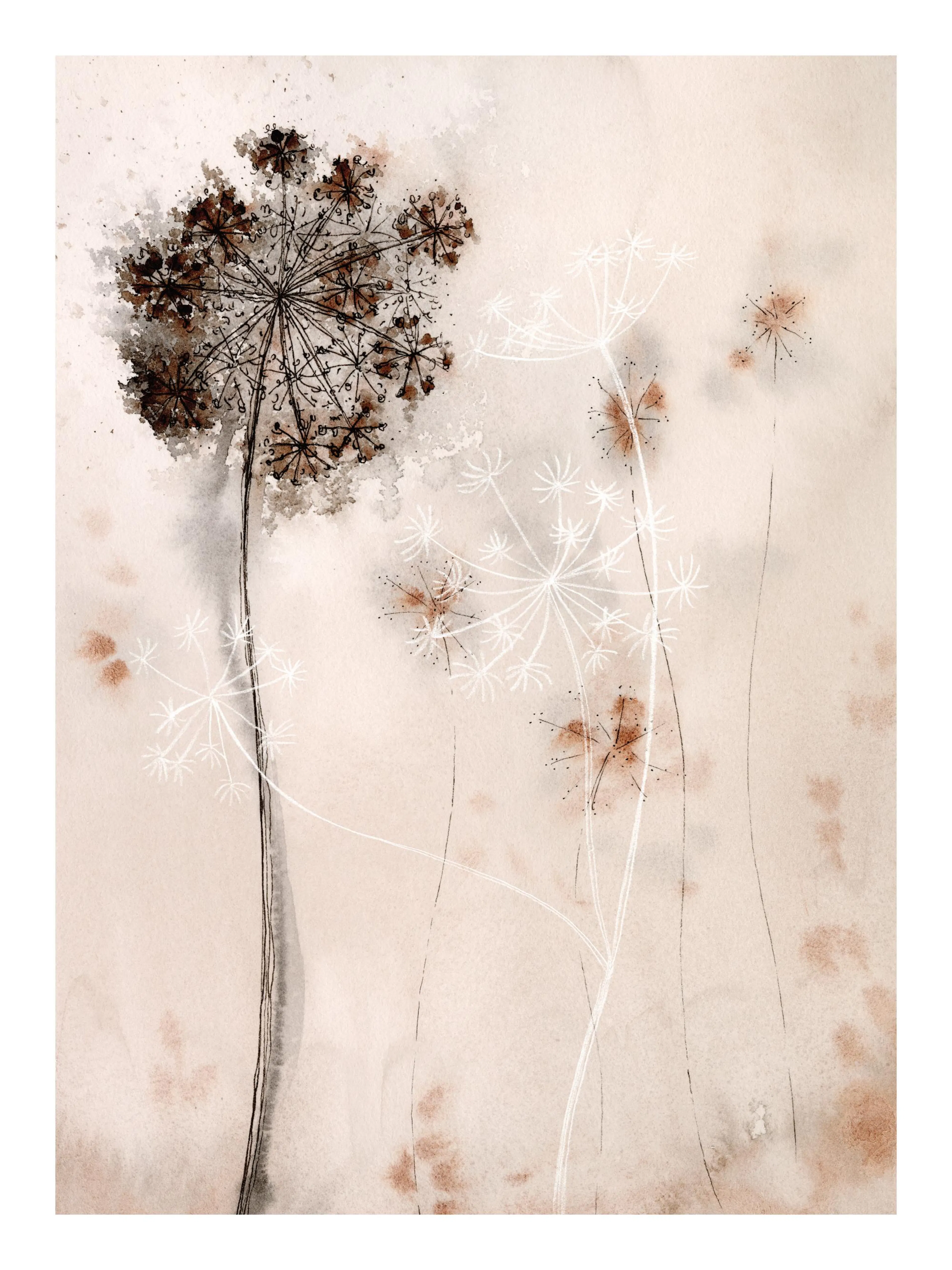 Print of dried flower art in beige and white, with watercolor shadows on a neutral background