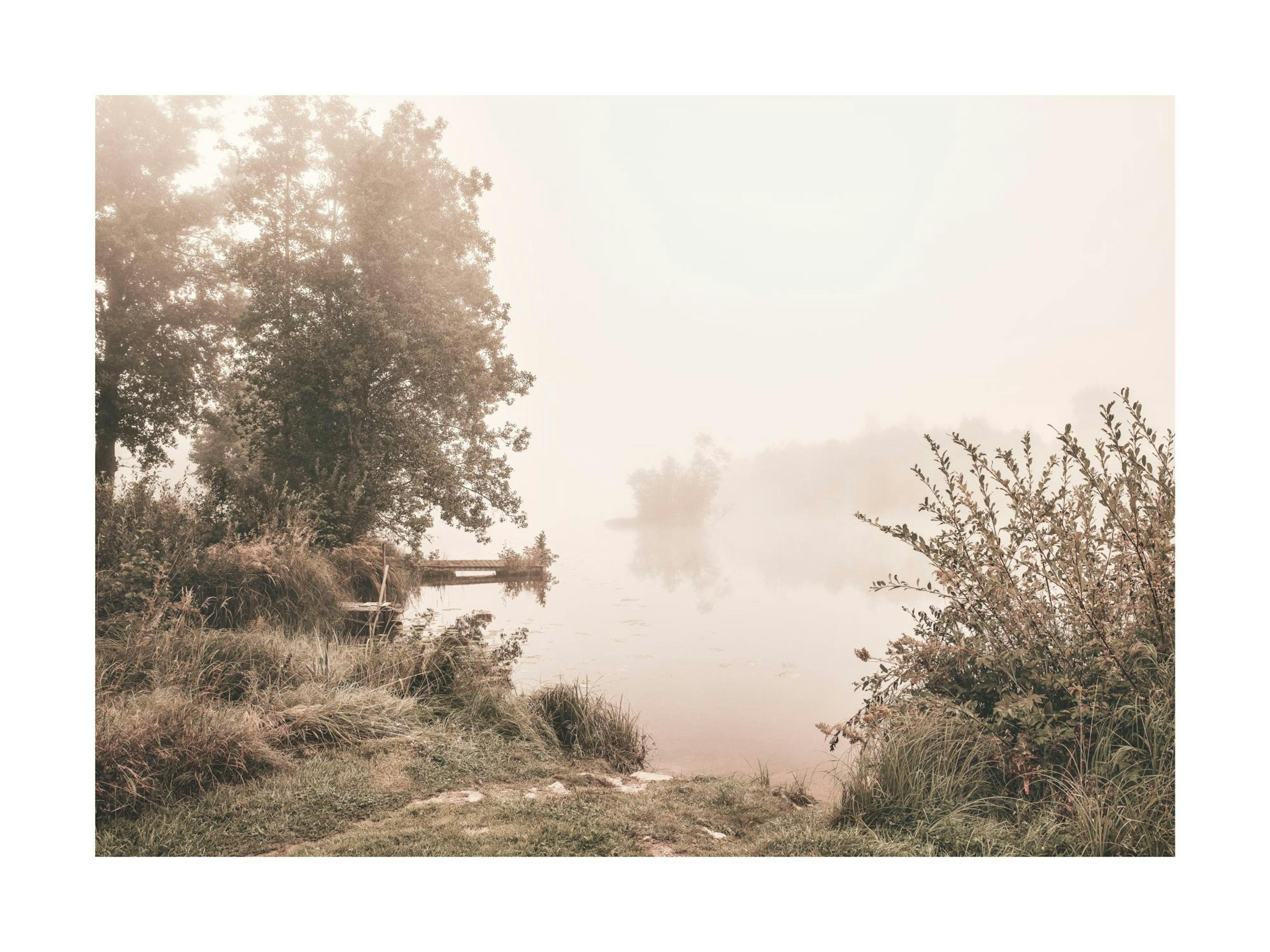 Póster de lago brumoso al amanecer con bosque verde, muelle de madera y agua tranquila, tonos sepia