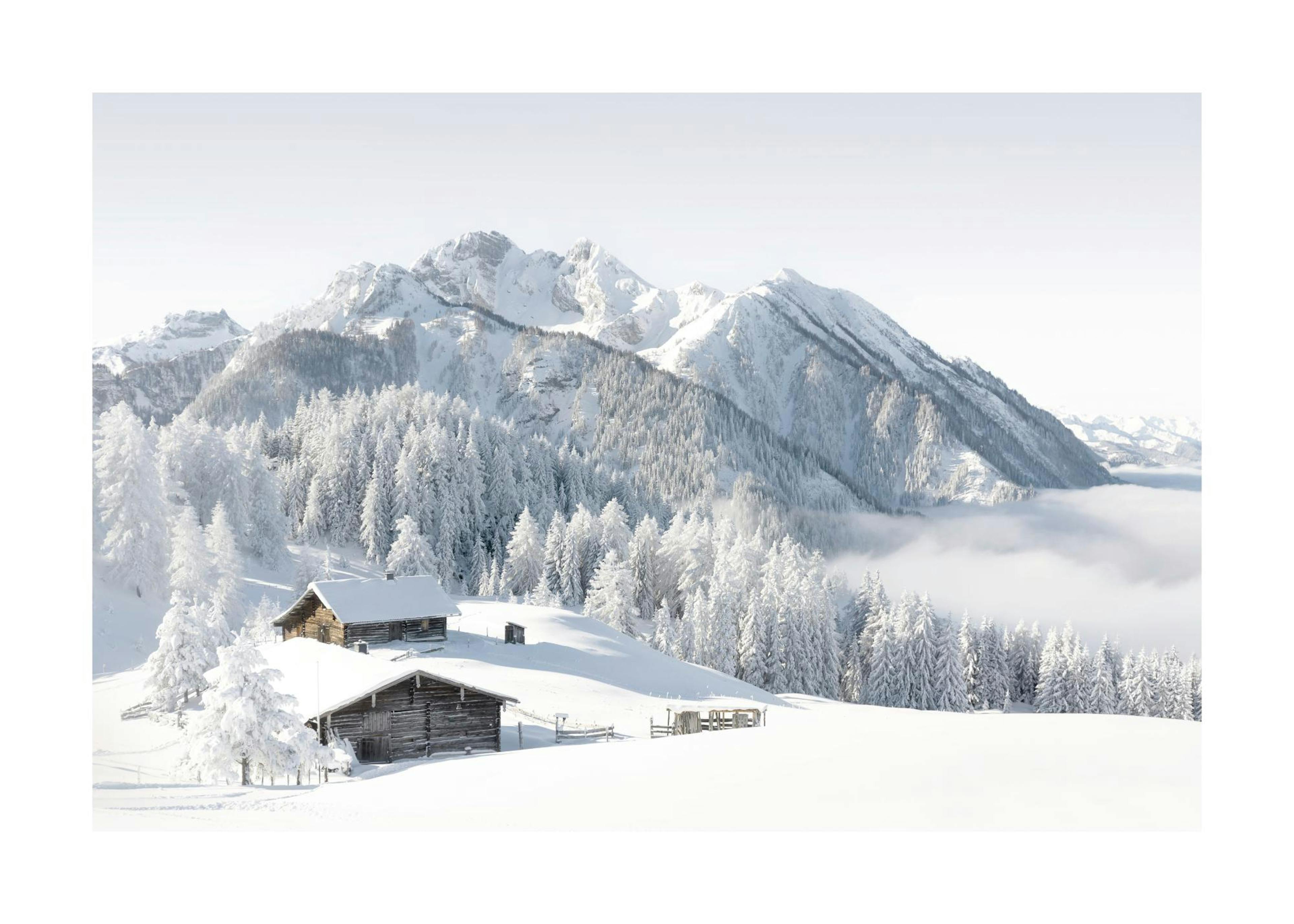 Snowscape Plakat 0